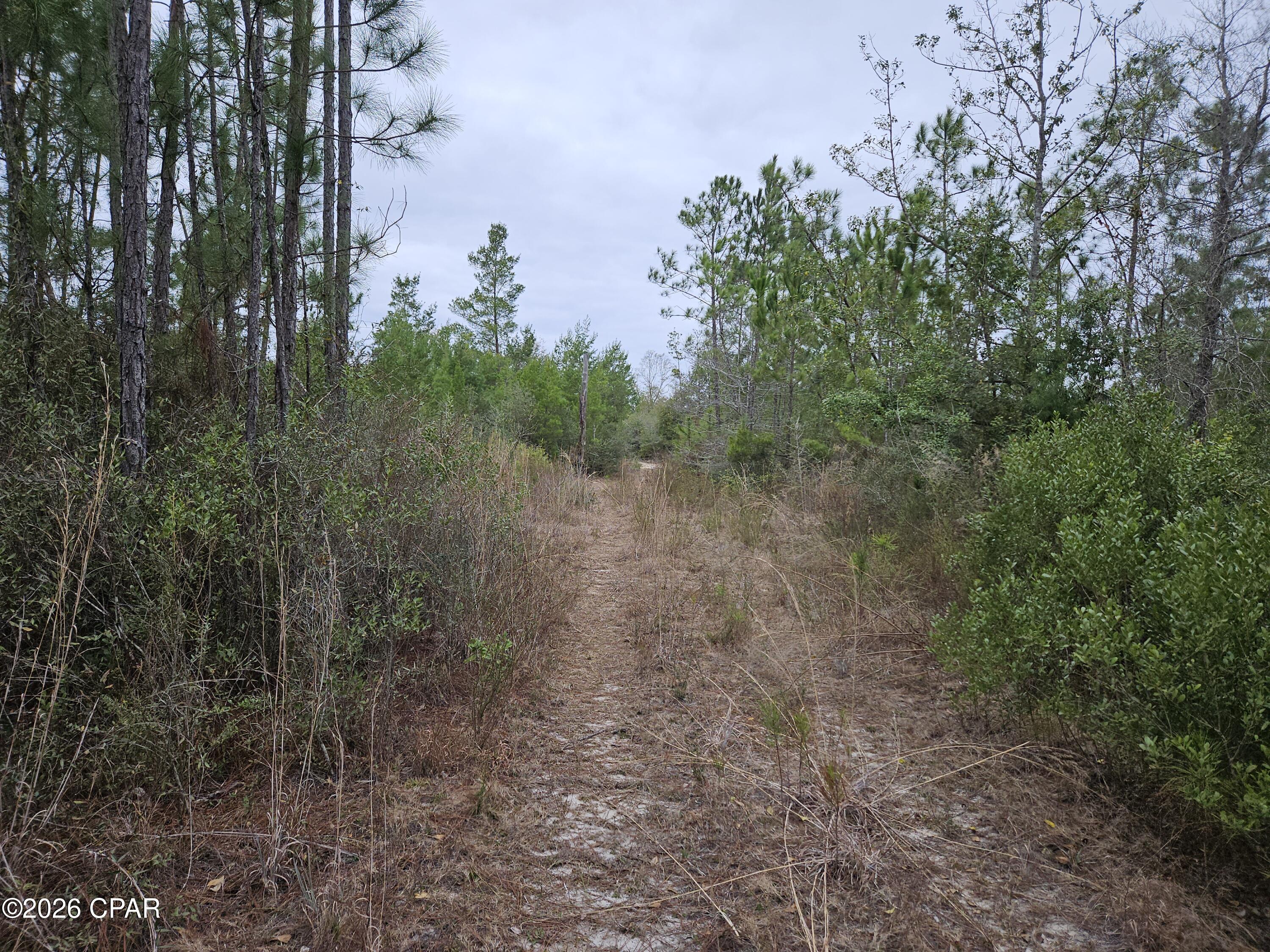 Details for 0000 Singer  , Youngstown, FL 32466