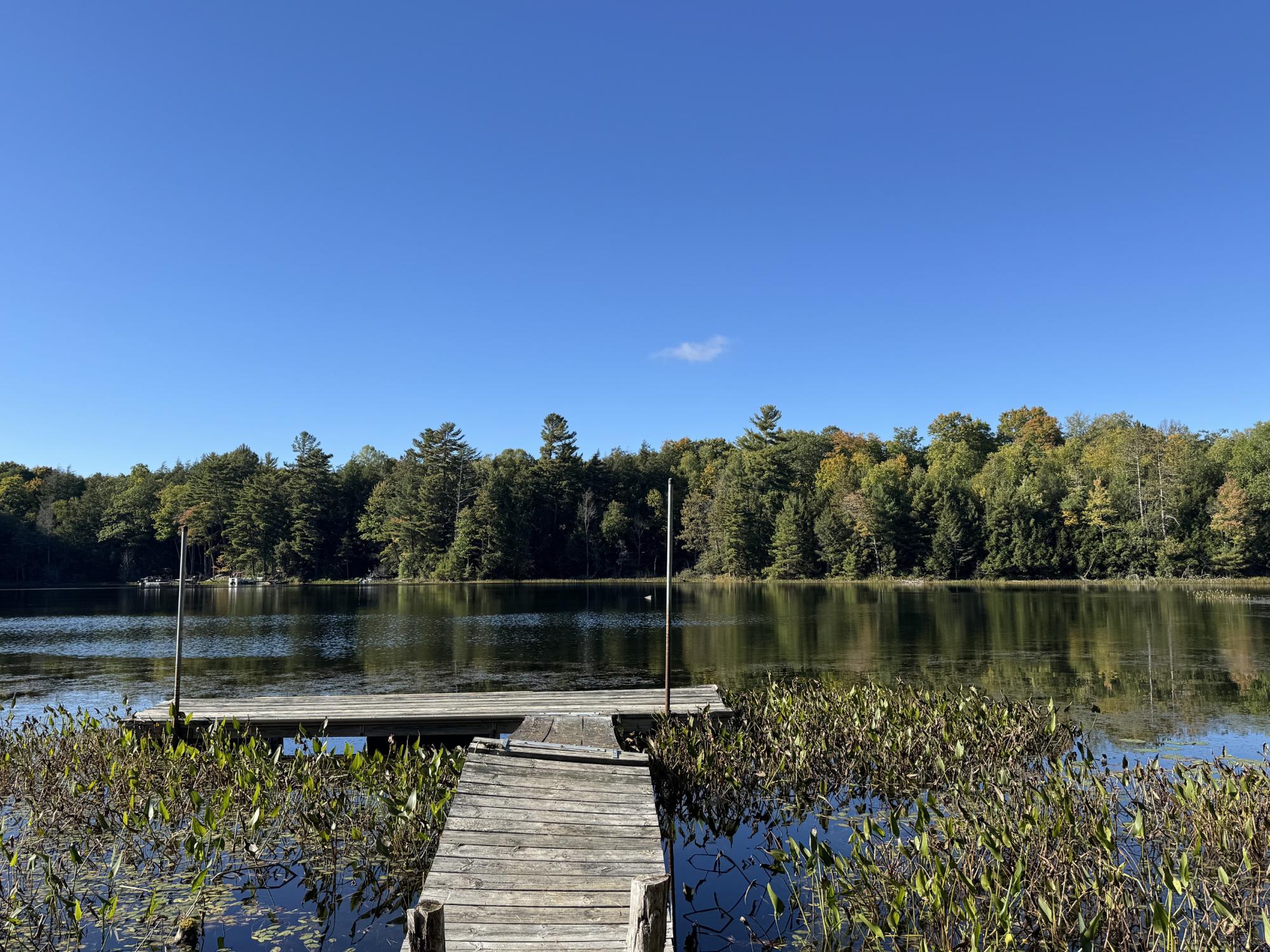 Muskesin Lake Property 3637 Muskesin Ln E Photo 13