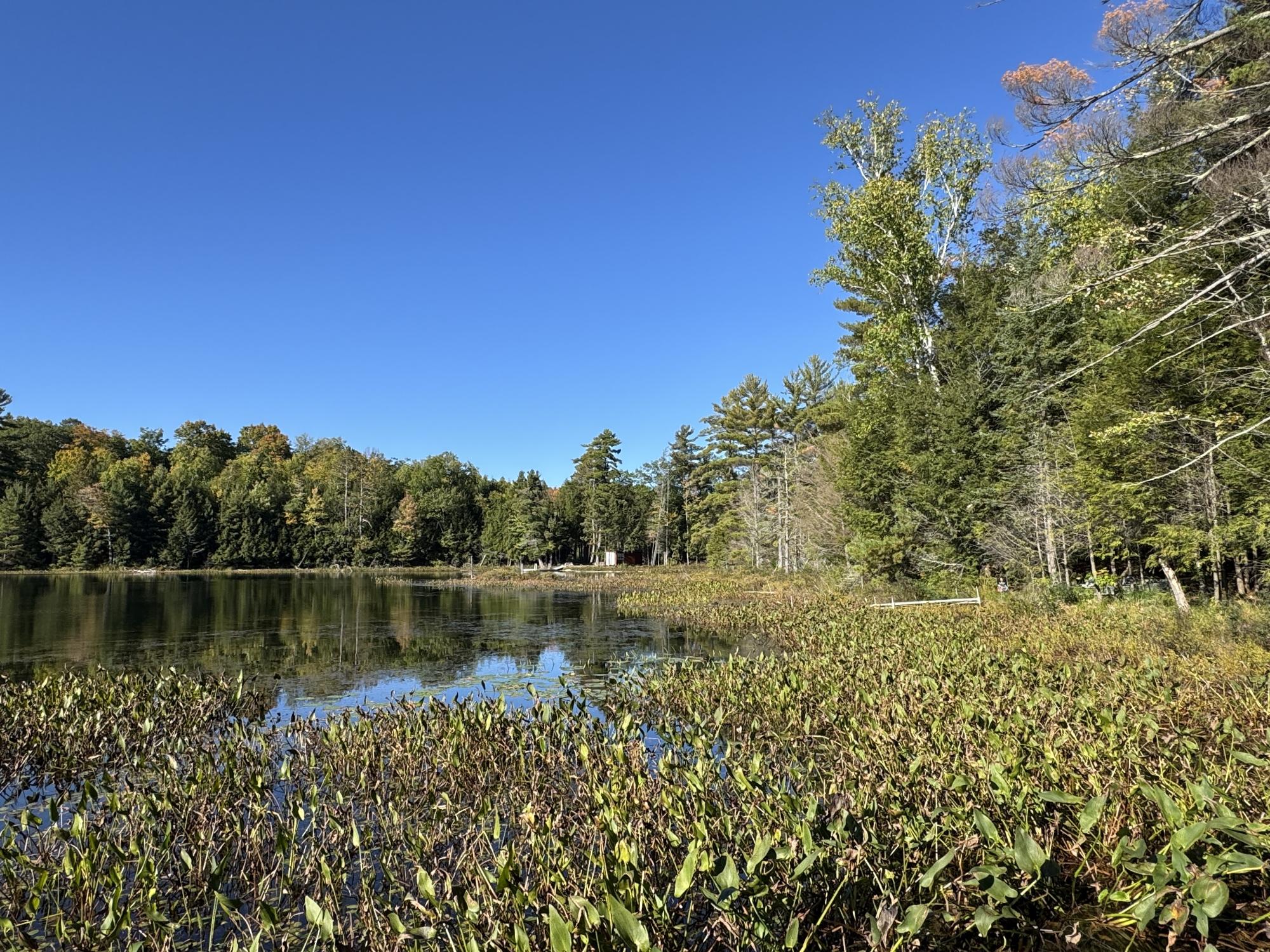 Muskesin Lake Property 3637 Muskesin Ln E Photo 14