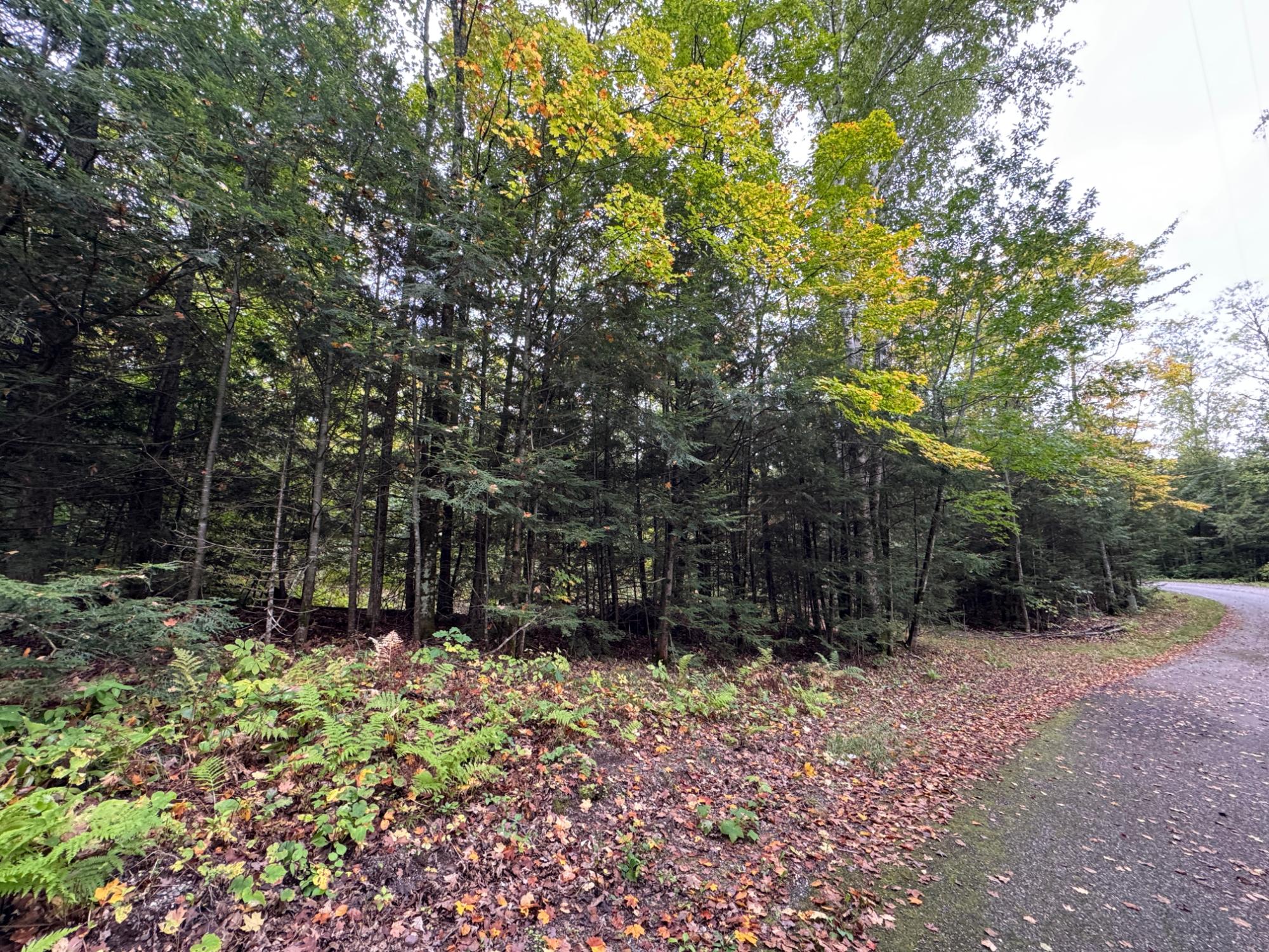 Muskesin Lake Property 3637 Muskesin Ln E Photo 34