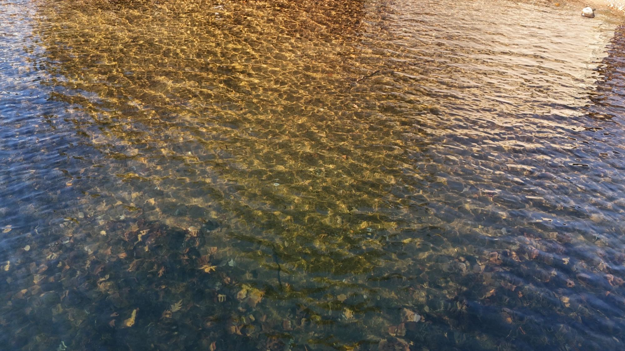 Tomahawk Lake Property 7299 Hwy 47 Photo 44