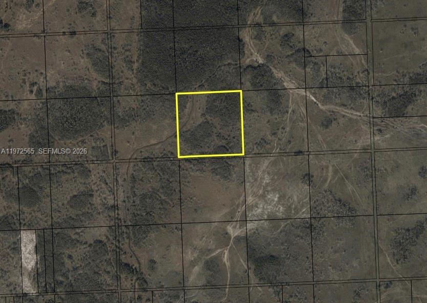 Miami Everglade Land Comp