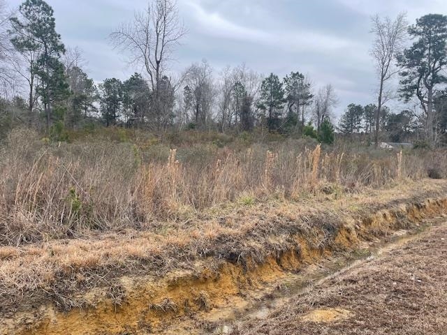 3137 Deer Creek Dr. Loris, SC 29569