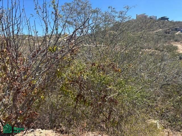 Animas Bajas, Lot Terra Sol 1, Animas Bajas, Los Cabos, Baja California Sur