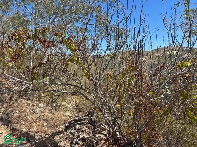 Animas Bajas, Lot Terra Sol 1, Animas Bajas, Los Cabos, Baja California Sur