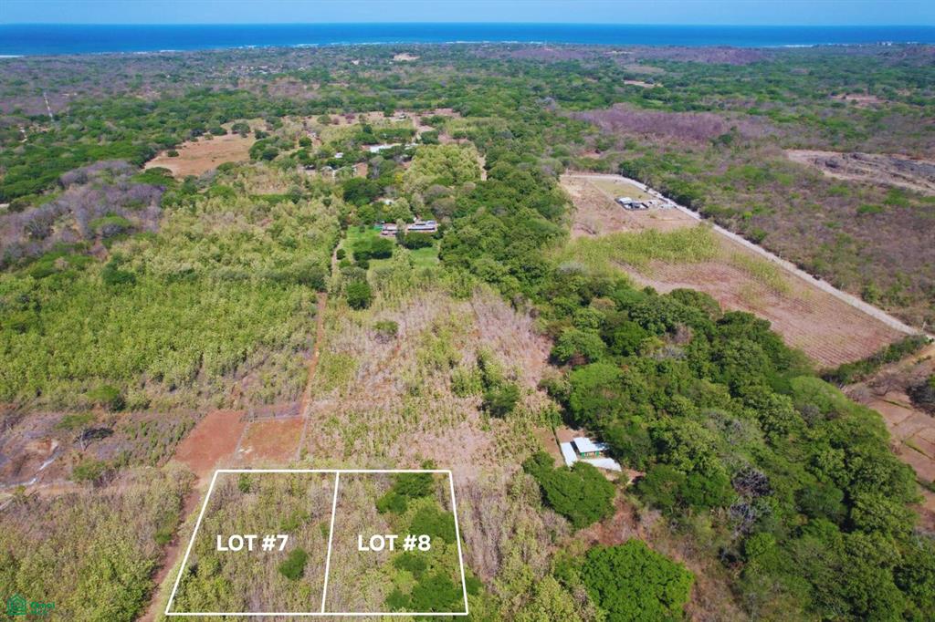  bed Land For Sale in Santa Cruz, Guanacaste - 1