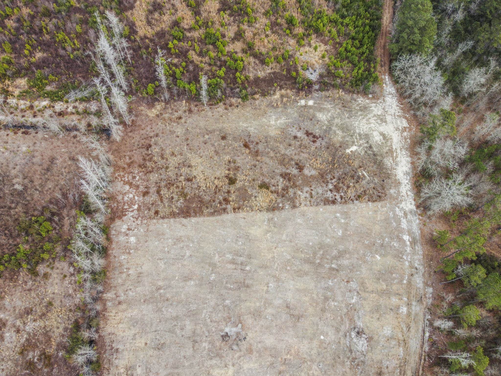 Homes for sale in Nichols, SC | 7306 Bellaire Dr, Nichols, SC 29581 | MLS# 2605048