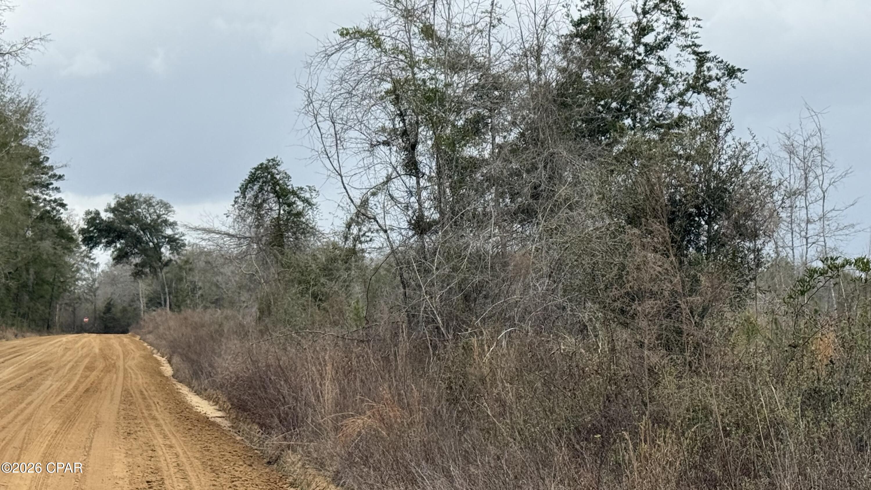 Details for 0000 Christmas Road, Campbellton, FL 32426