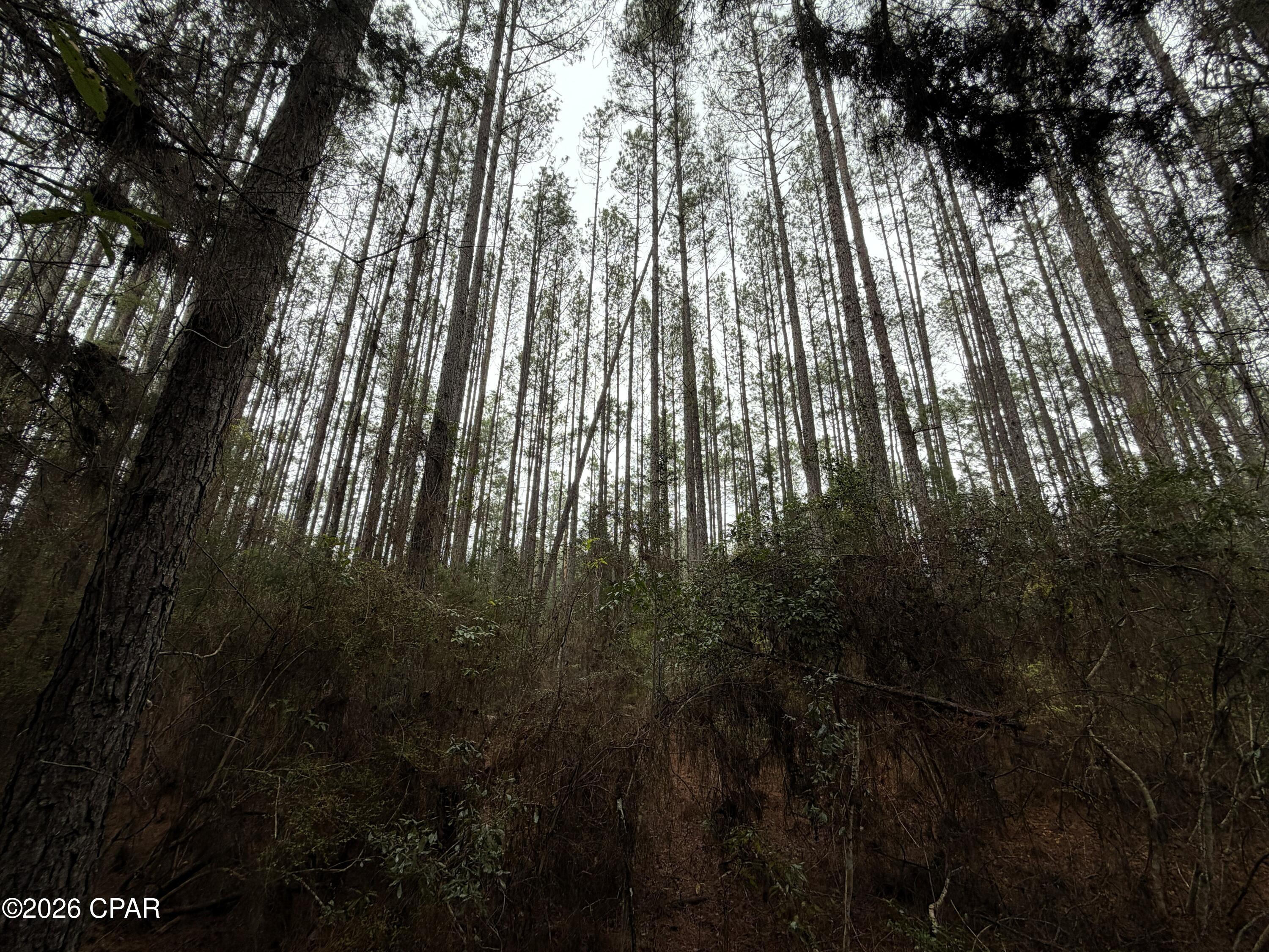 Image 5 For 00 Red Oak Lane