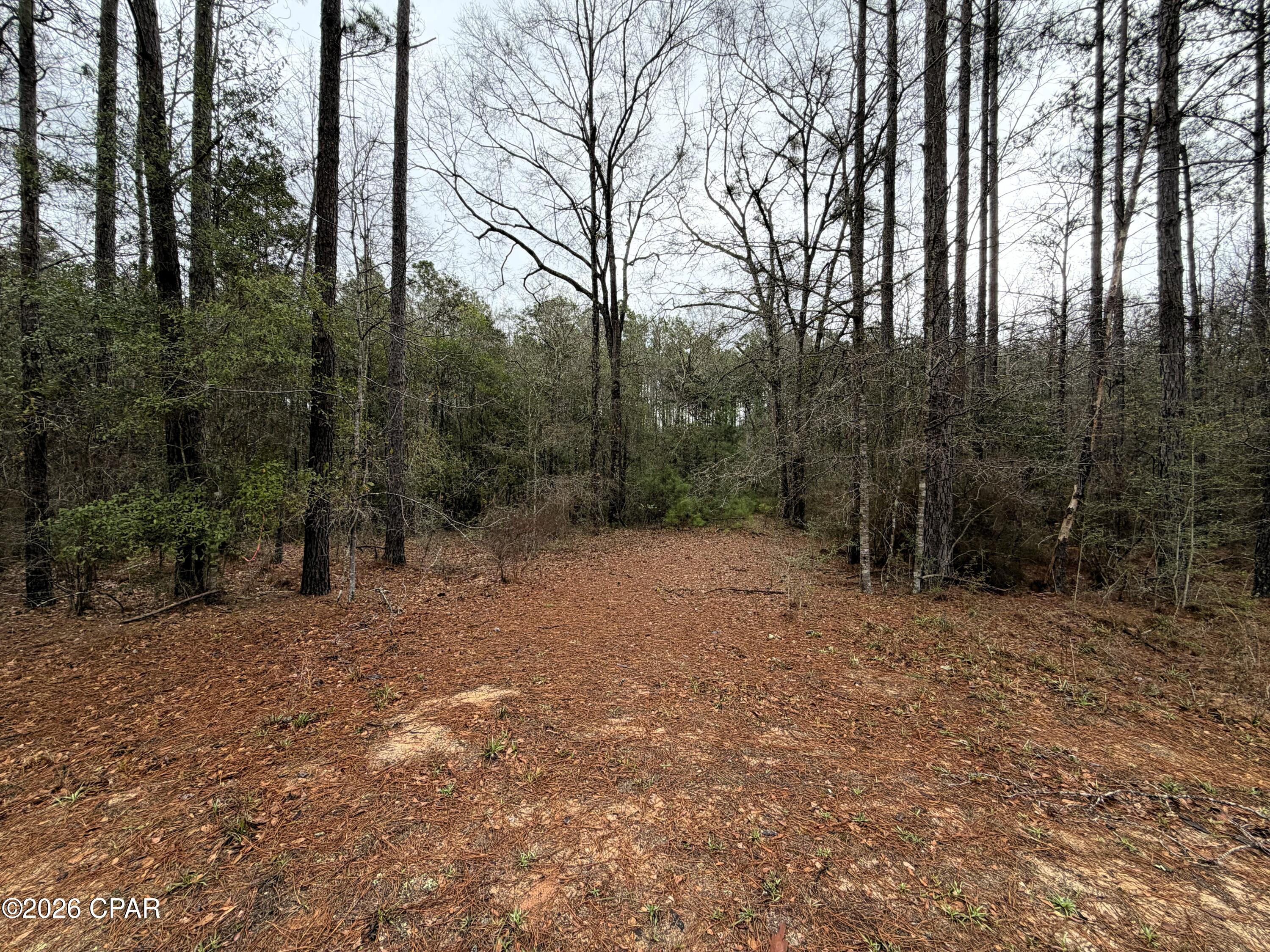 Image 6 For 00 Red Oak Lane