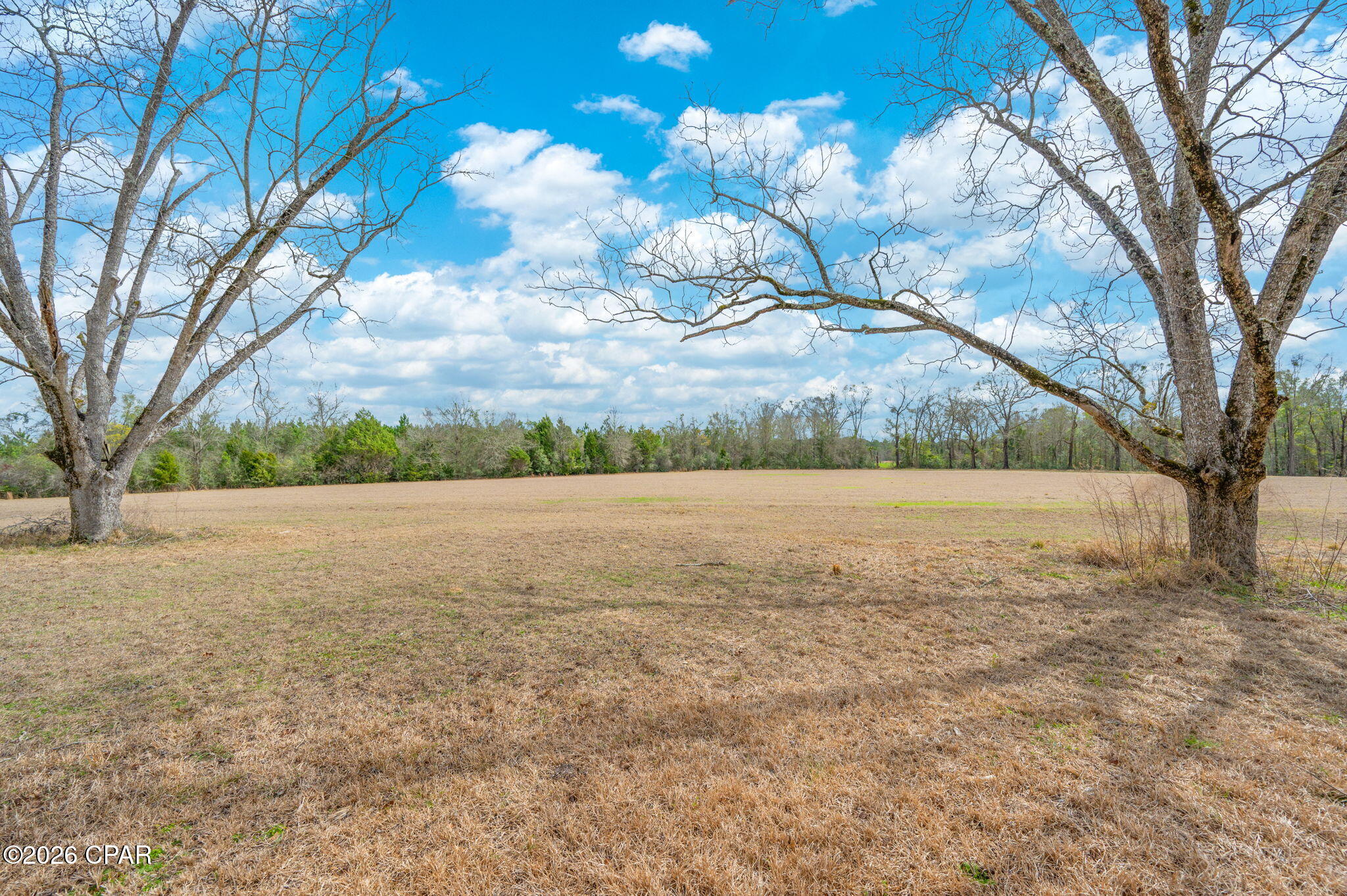 Image 44 For 686 Alford Road