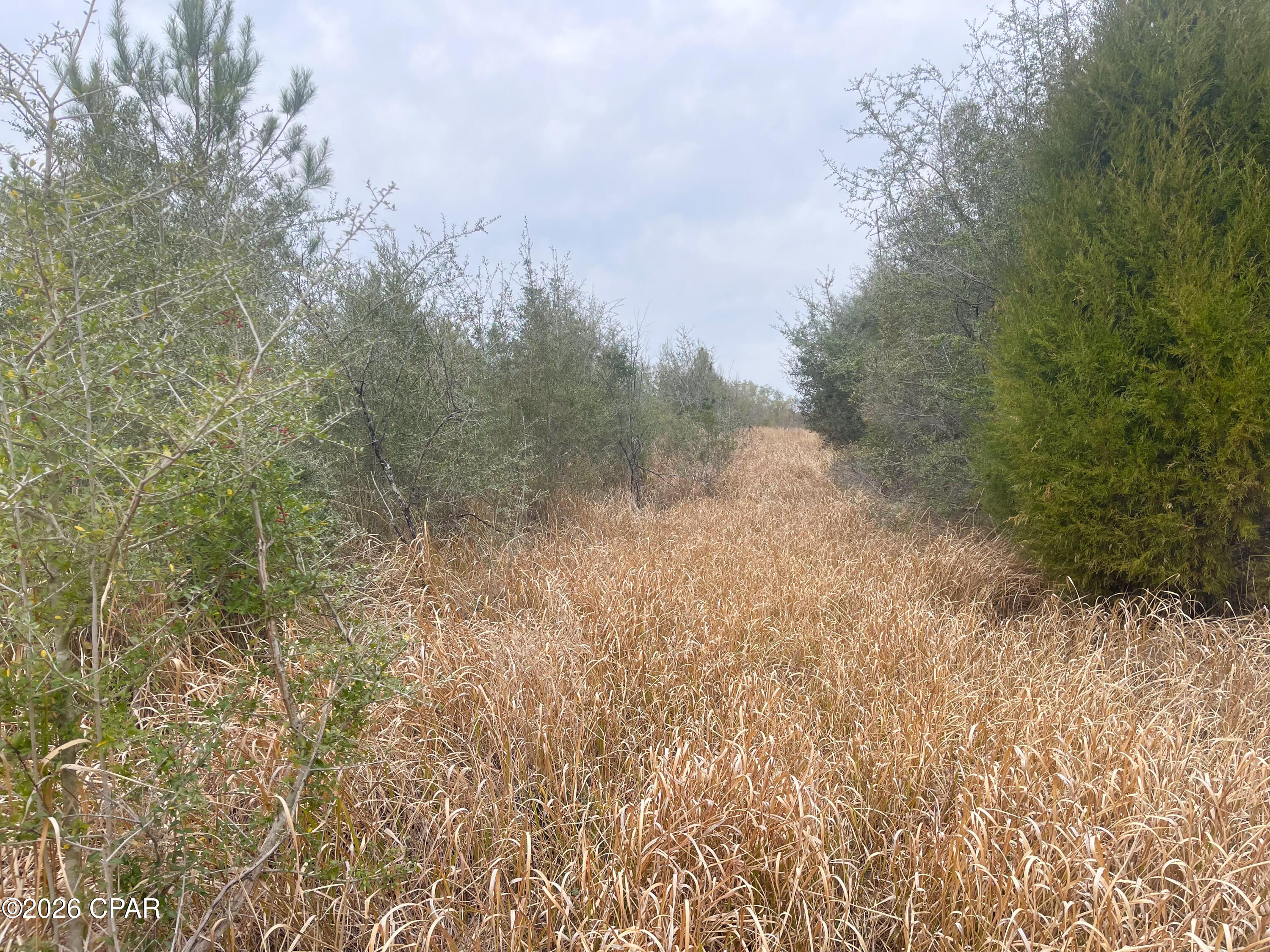 Image 9 For 0000 Stanley Road