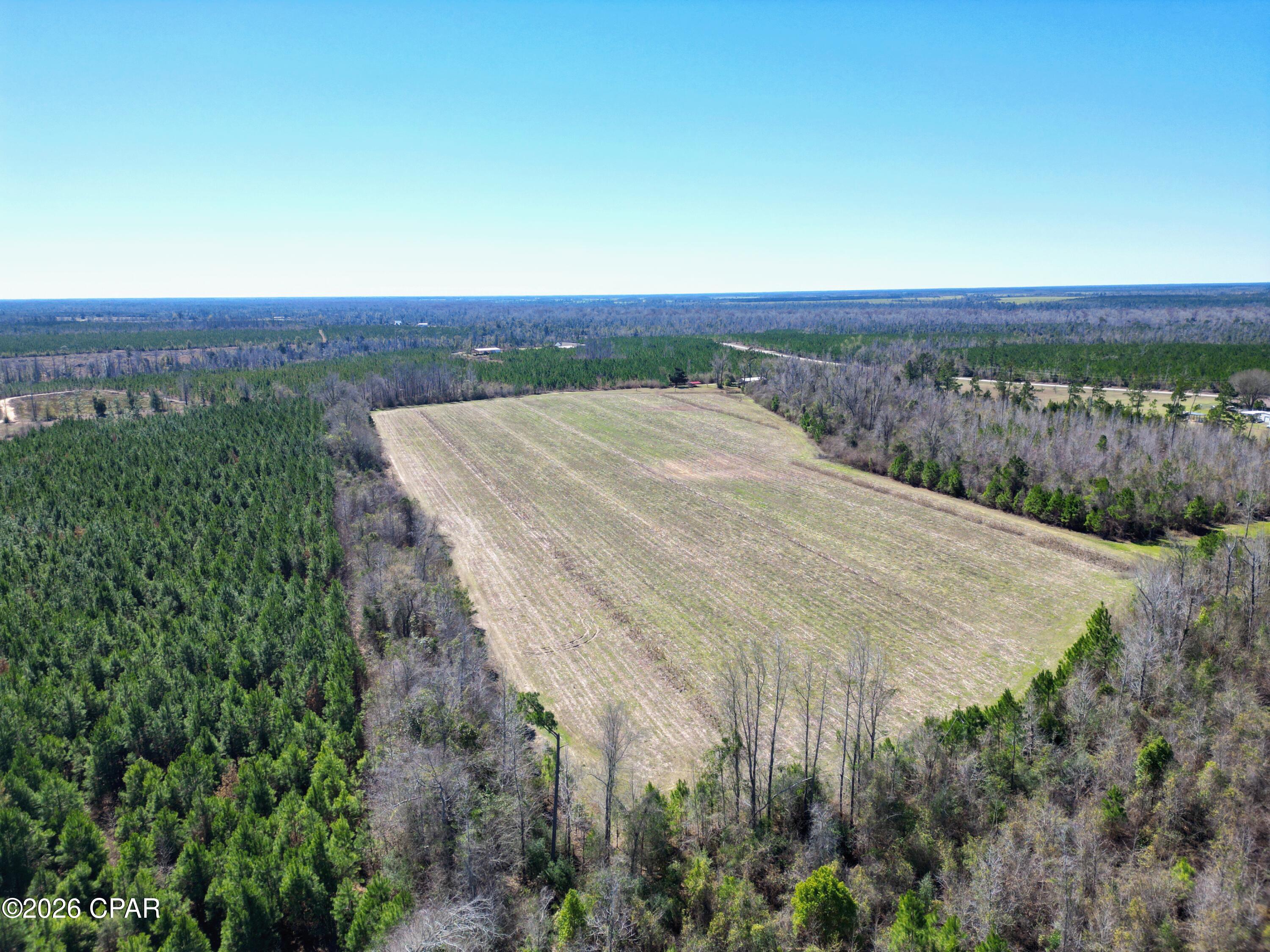 Image 7 For Tbd Cr 275 Abe Springs