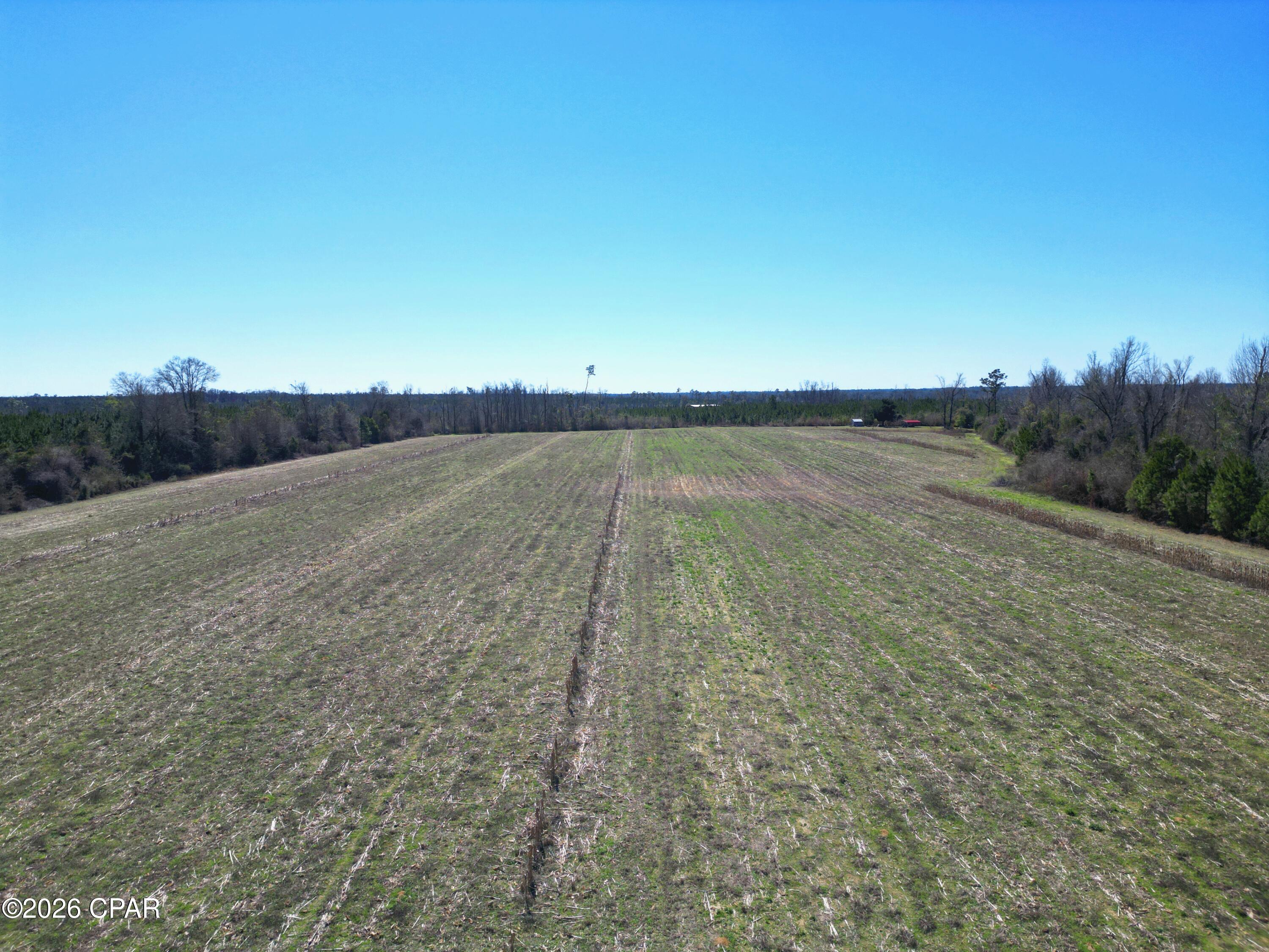 Image 9 For Tbd Cr 275 Abe Springs