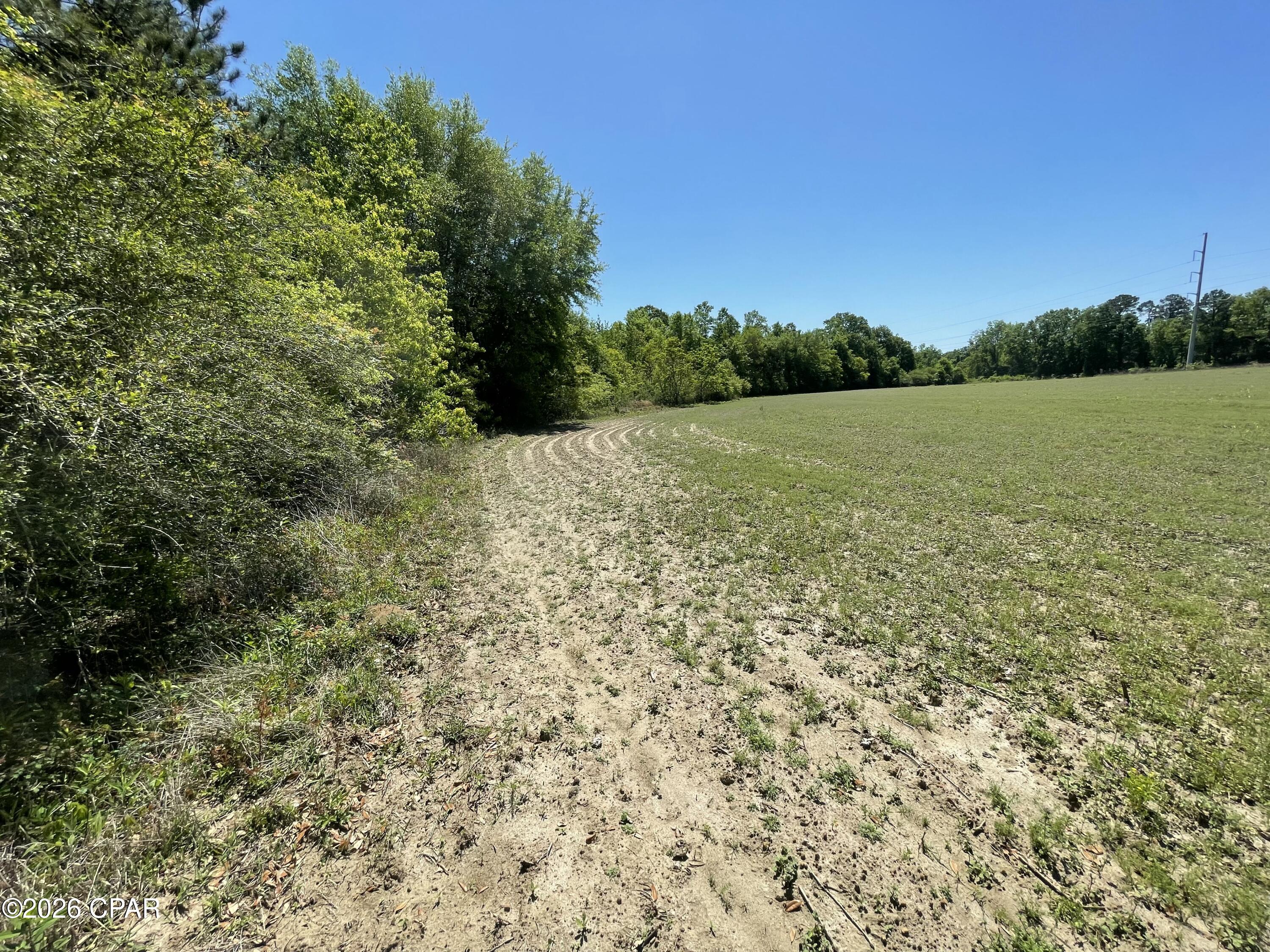 Details for 0000 Peanut Road, Graceville, FL 32440