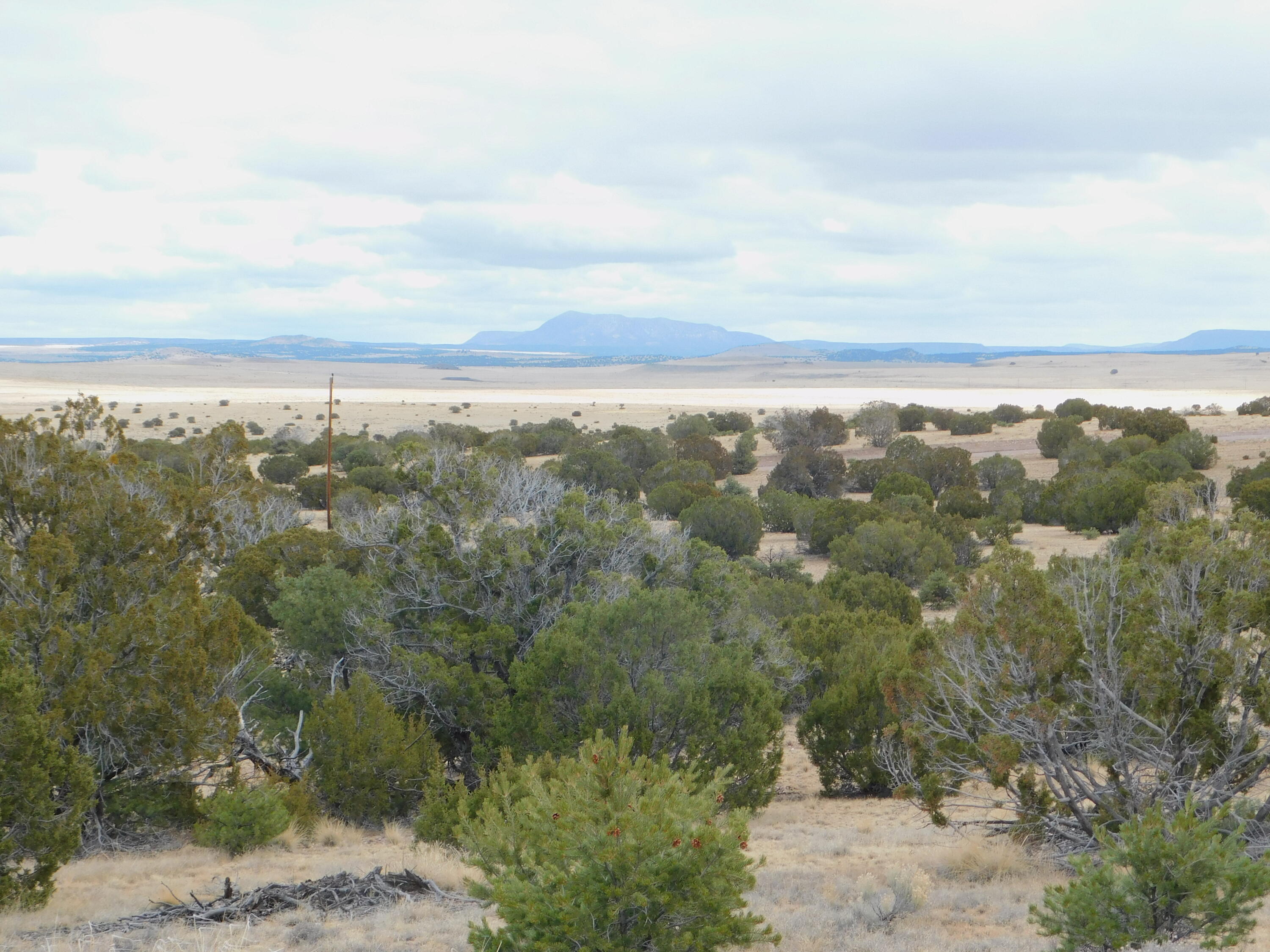 2nd image of 52 & 62 Wildflower Trl, Quemado, NM 87829 | MLS# 1099005