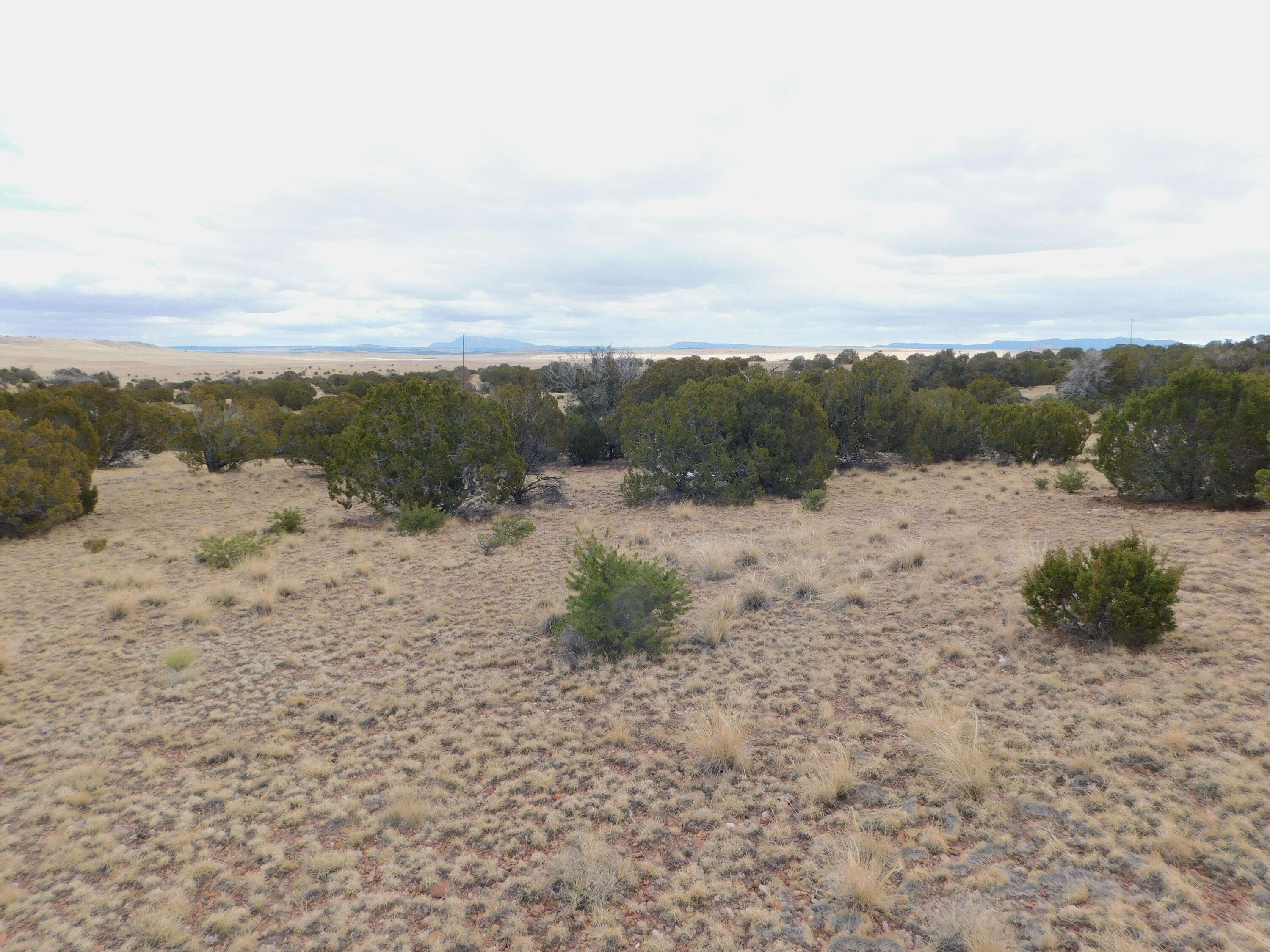 Photo 4 of Sale Pending at 52 & 62 Wildflower Trl, Quemado, NM 87829 | MLS# 1099005 | Listing updated on 2026-10-27