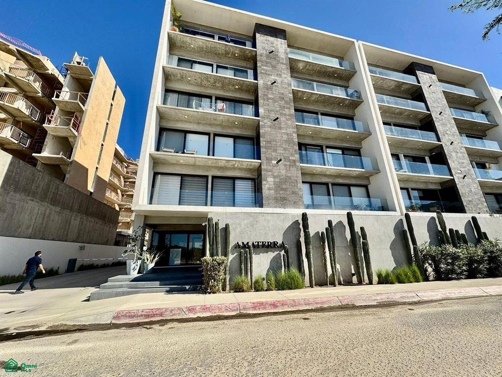 Zn 0, El Tezal, Los Cabos, Baja California Sur