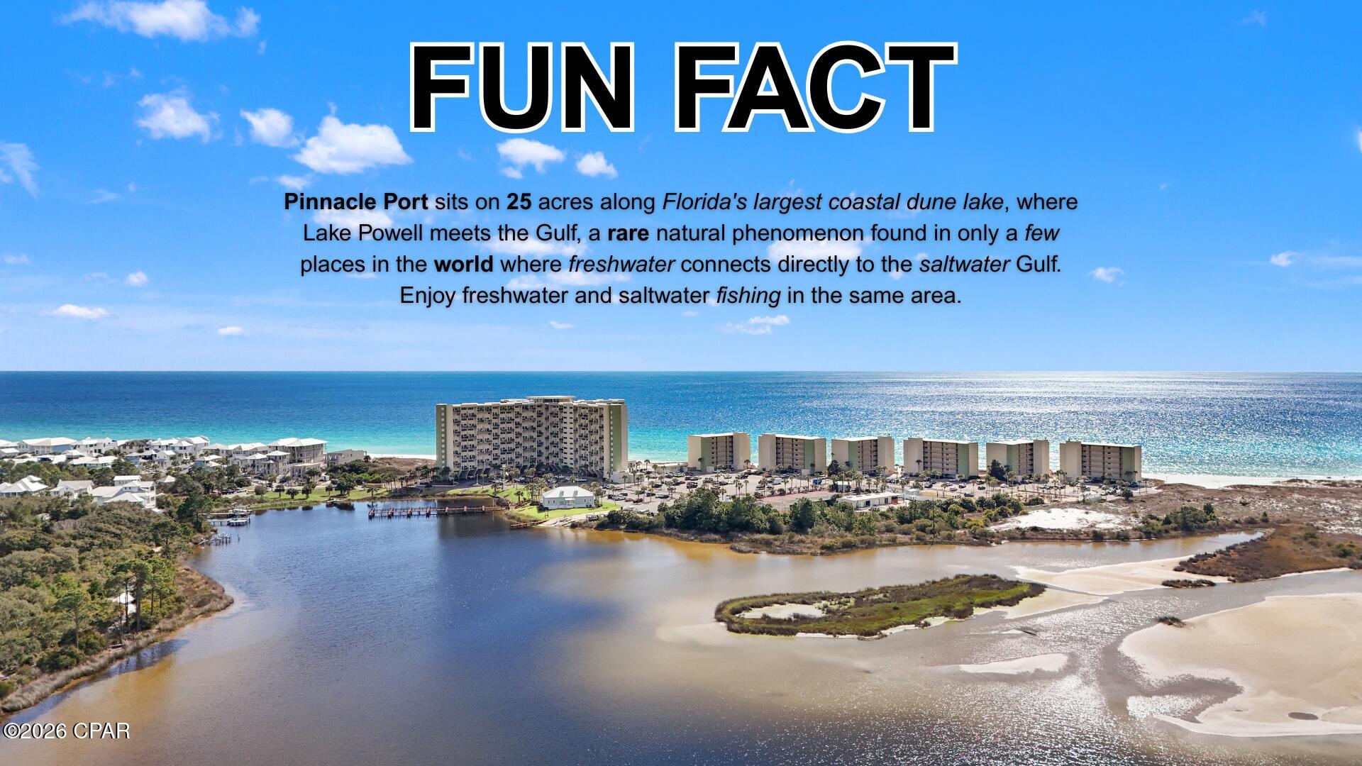 Image 3 For 23223 Front Beach Road A1-108