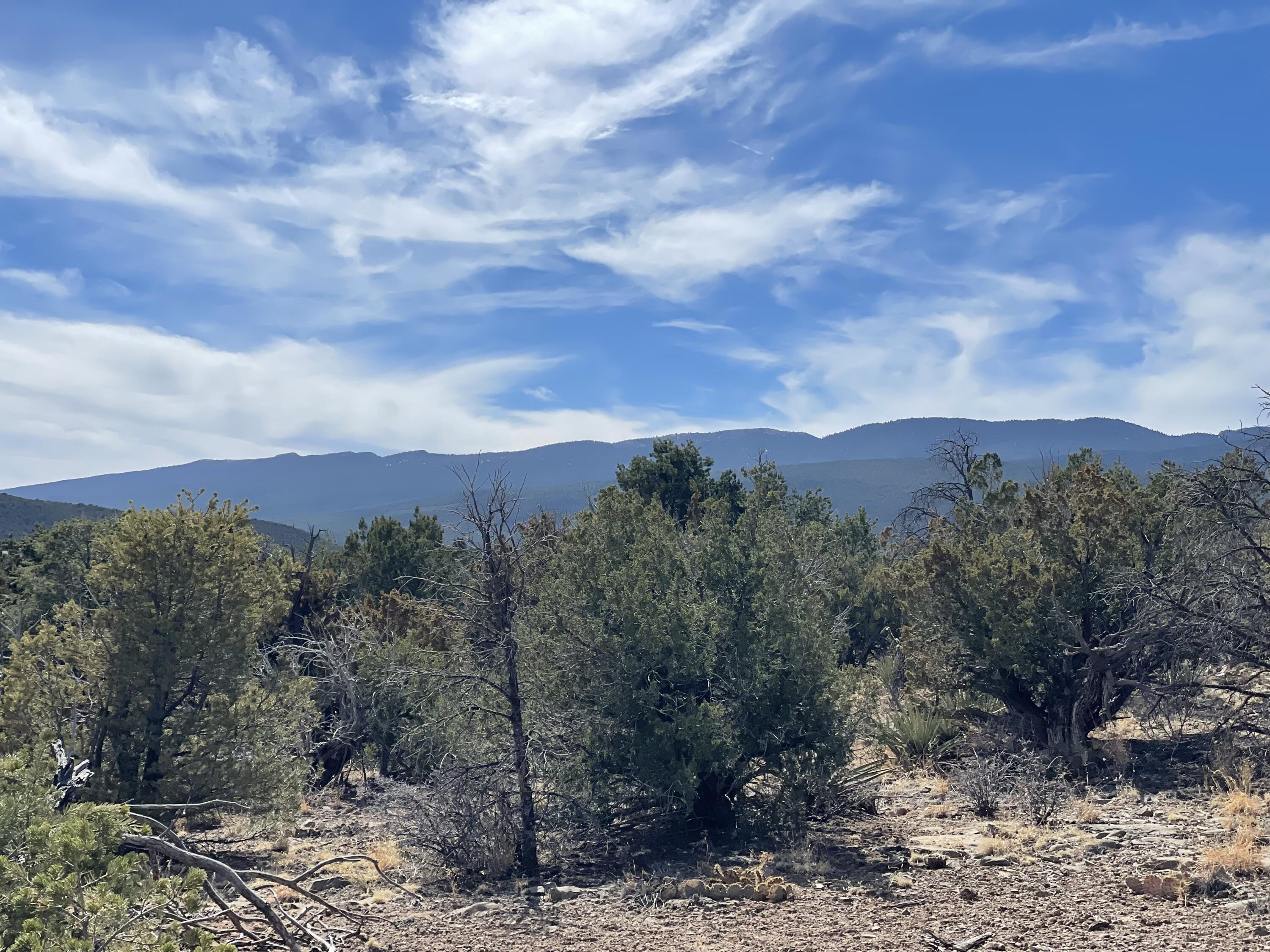 91 Rain Dance Road, Sandia Park