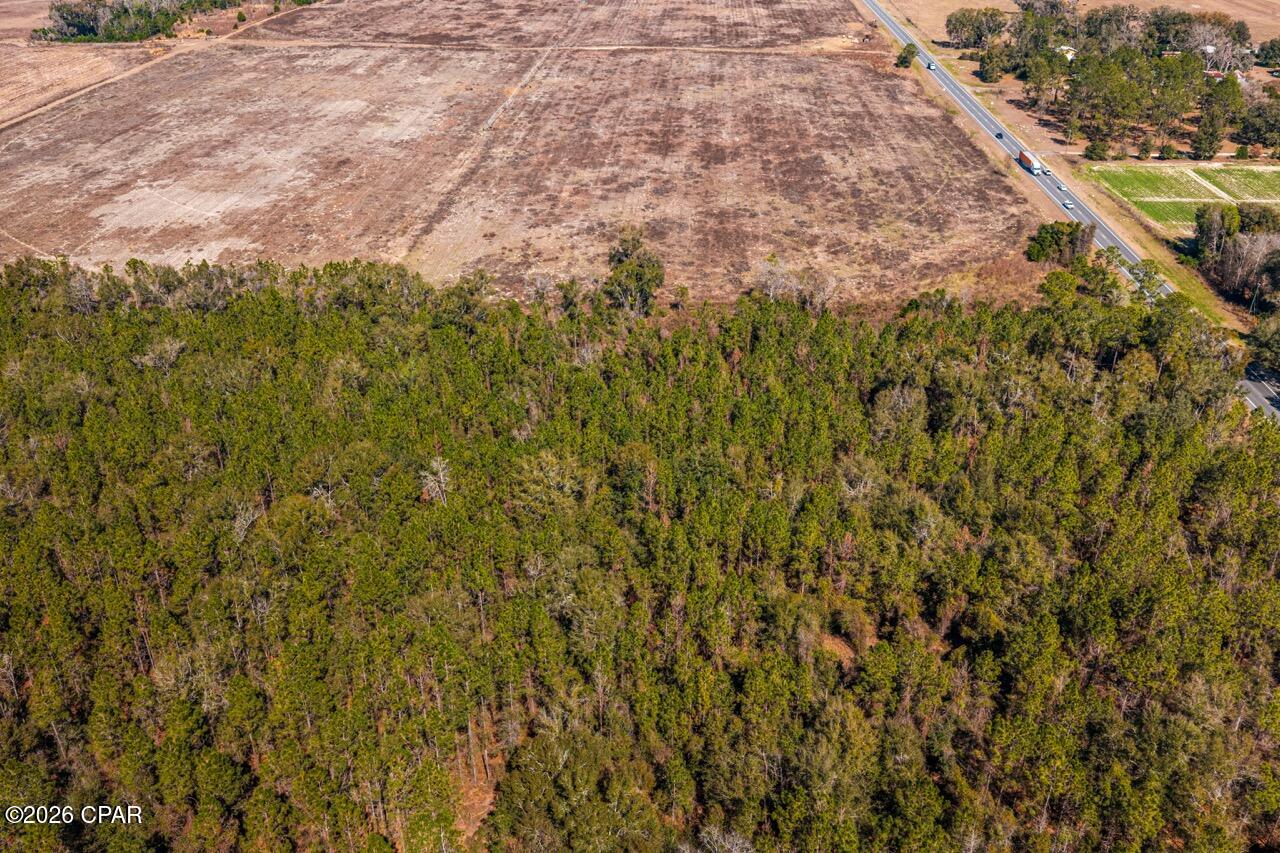 Image 11 For 17198 Florida 47