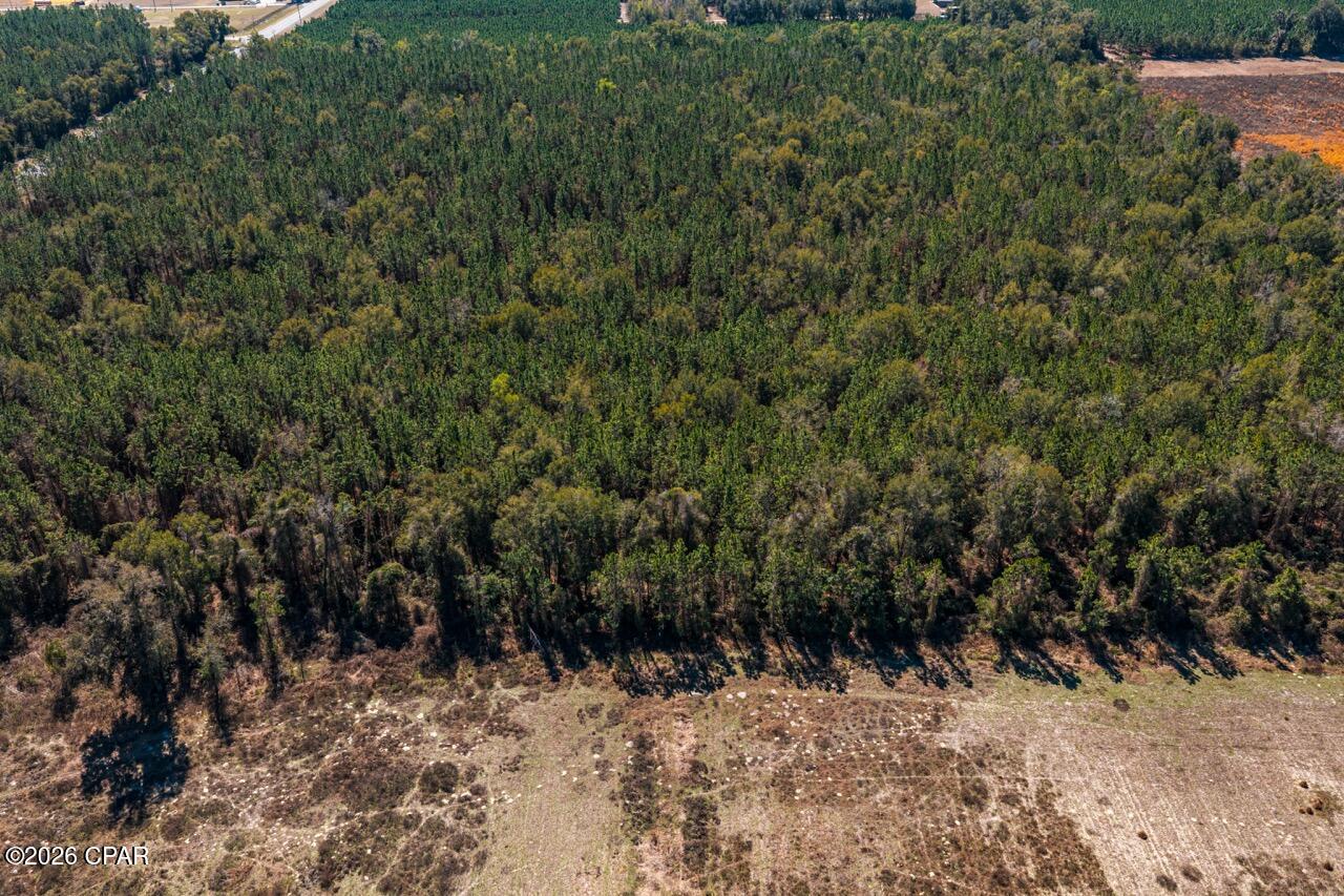 Image 12 For 17198 Florida 47