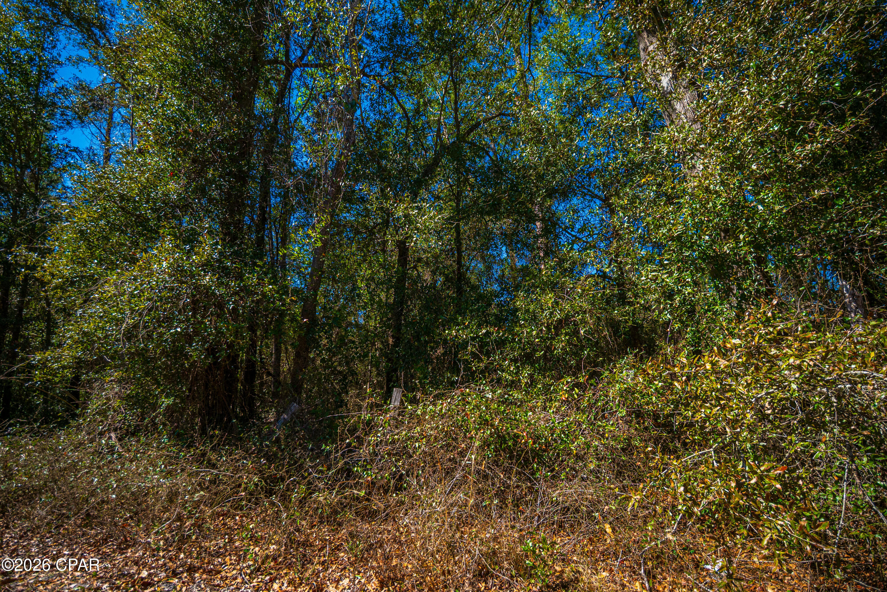 Image 17 For 17198 Florida 47