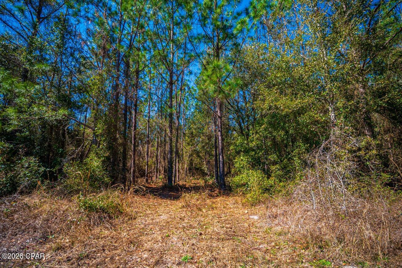 Image 18 For 17198 Florida 47