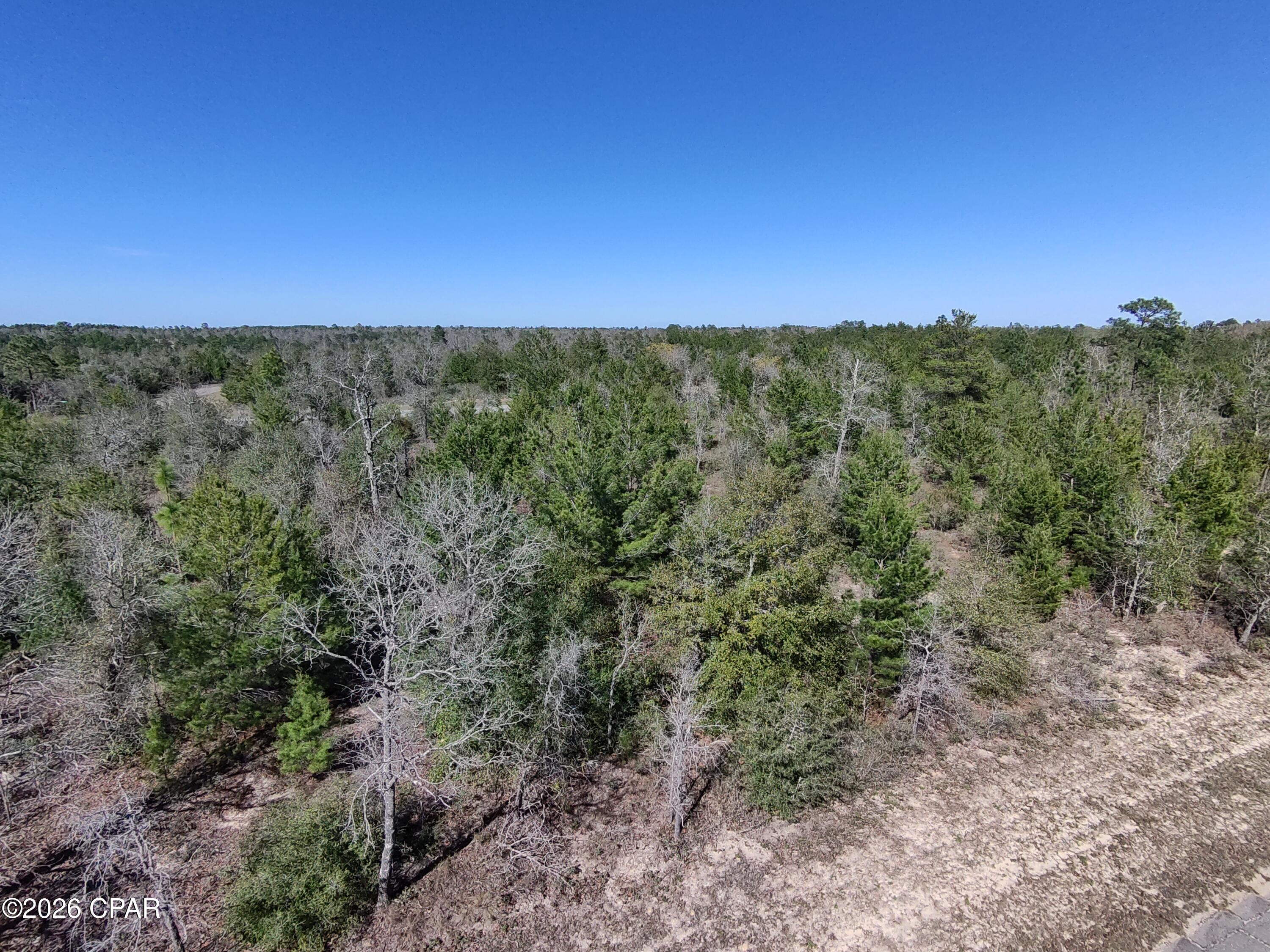 LOT 55 Dandelion Drive, Chipley, FL 32428