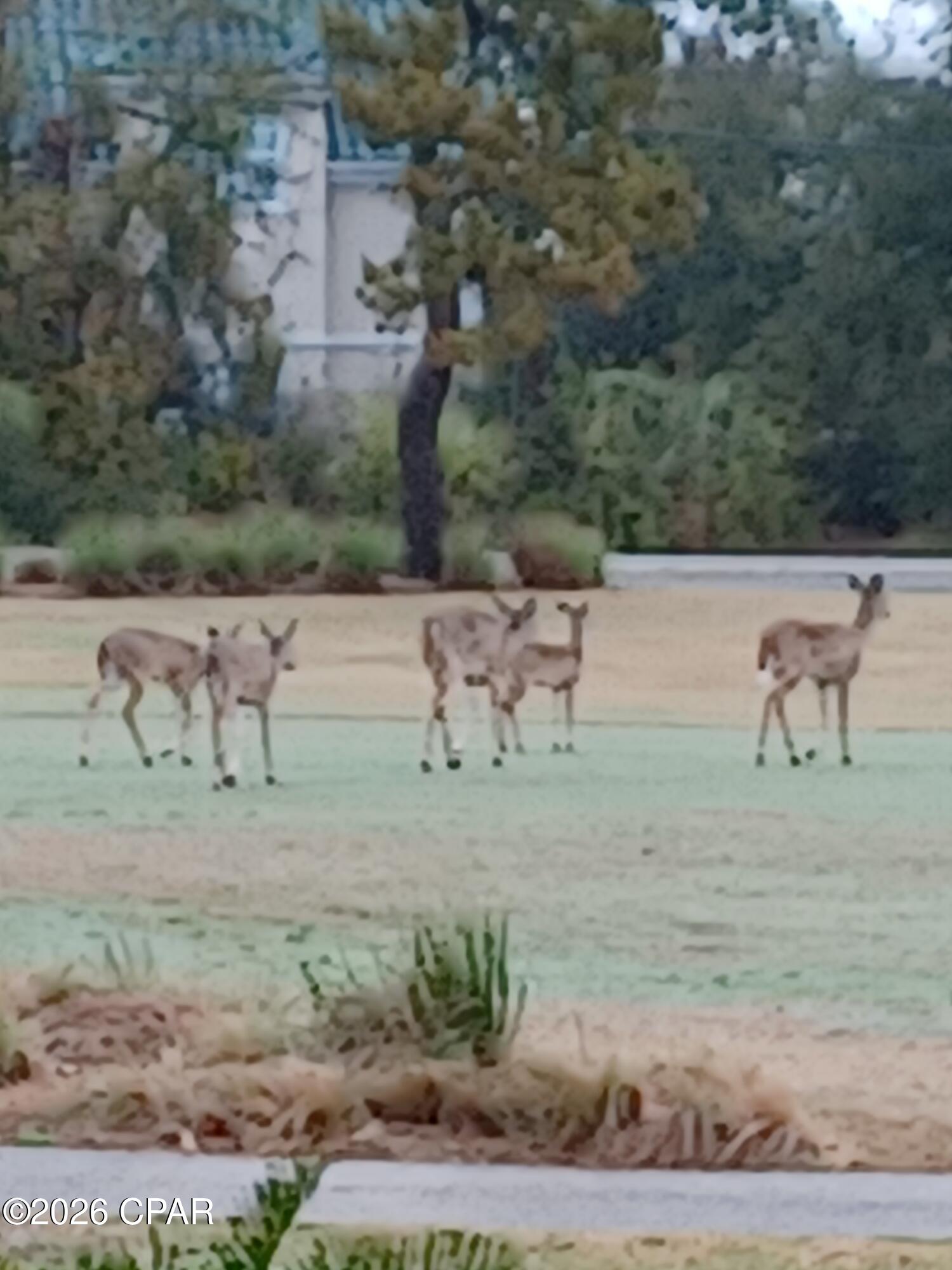 Image 40 For 4326 Legend Place 24