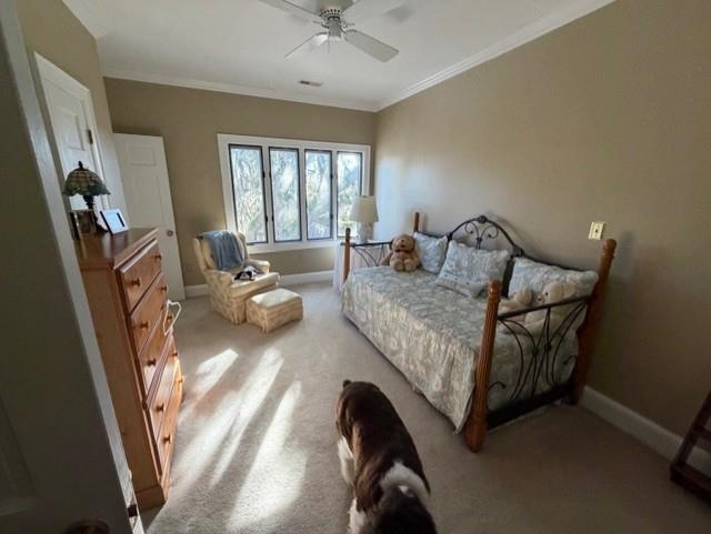 110 Swan Point Trail 