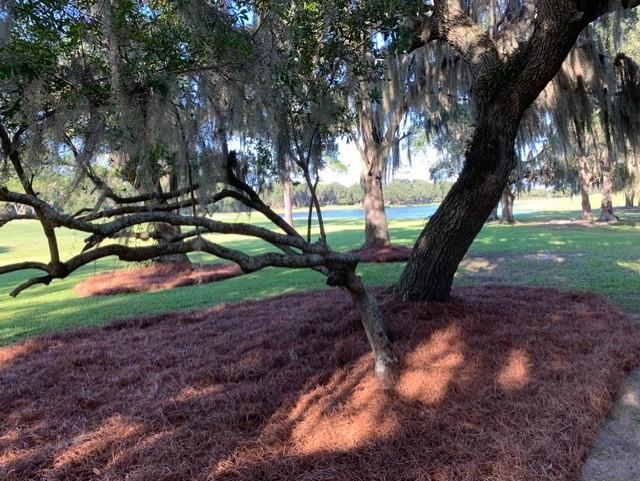 110 Swan Point Trail 