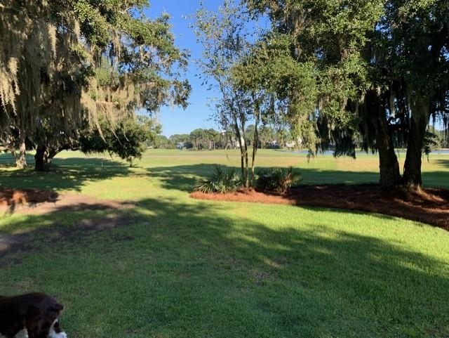 110 Swan Point Trail 