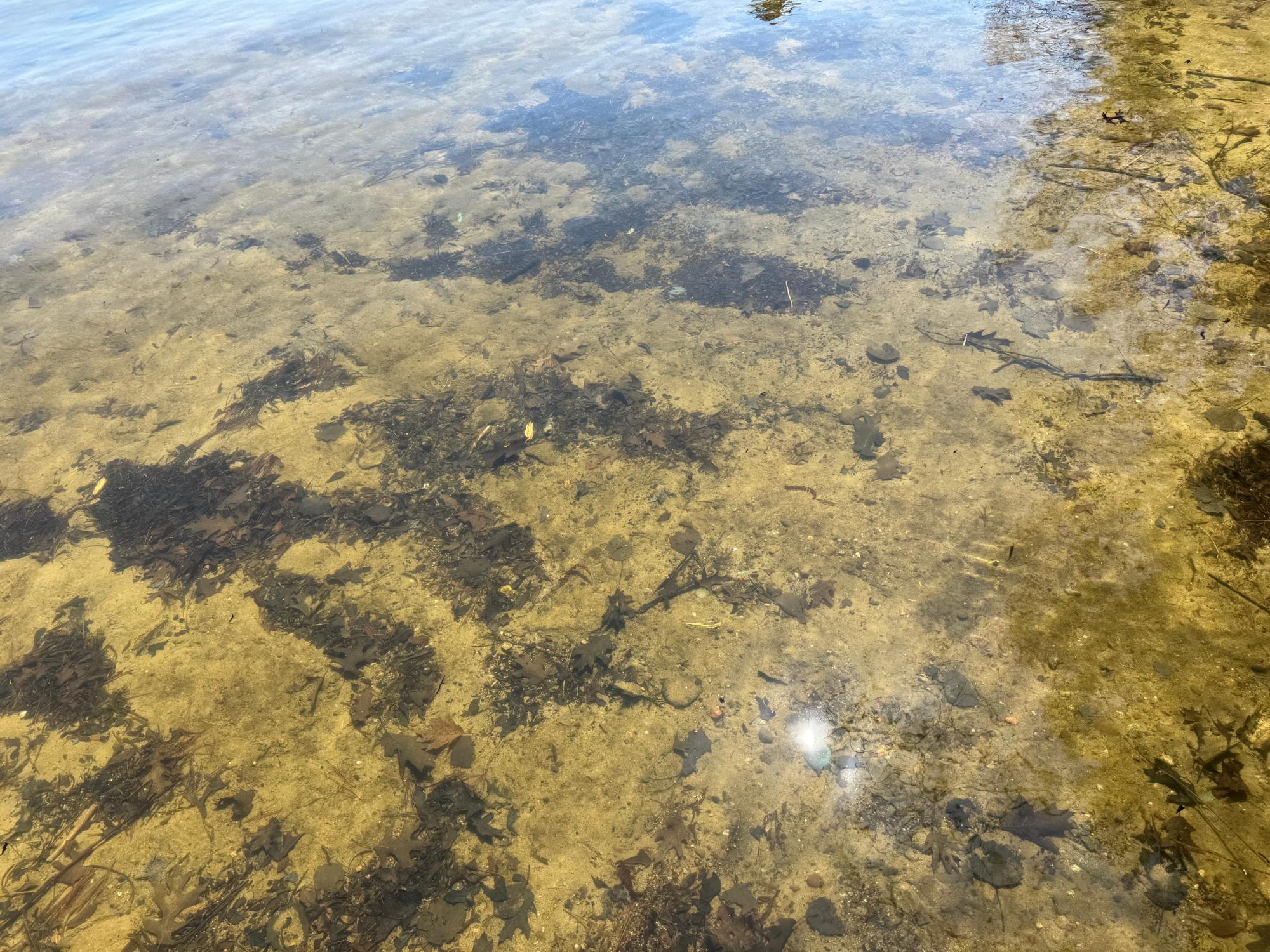 Little Crawling Stone Property Lot 2 Silver Beach Dr Photo 3