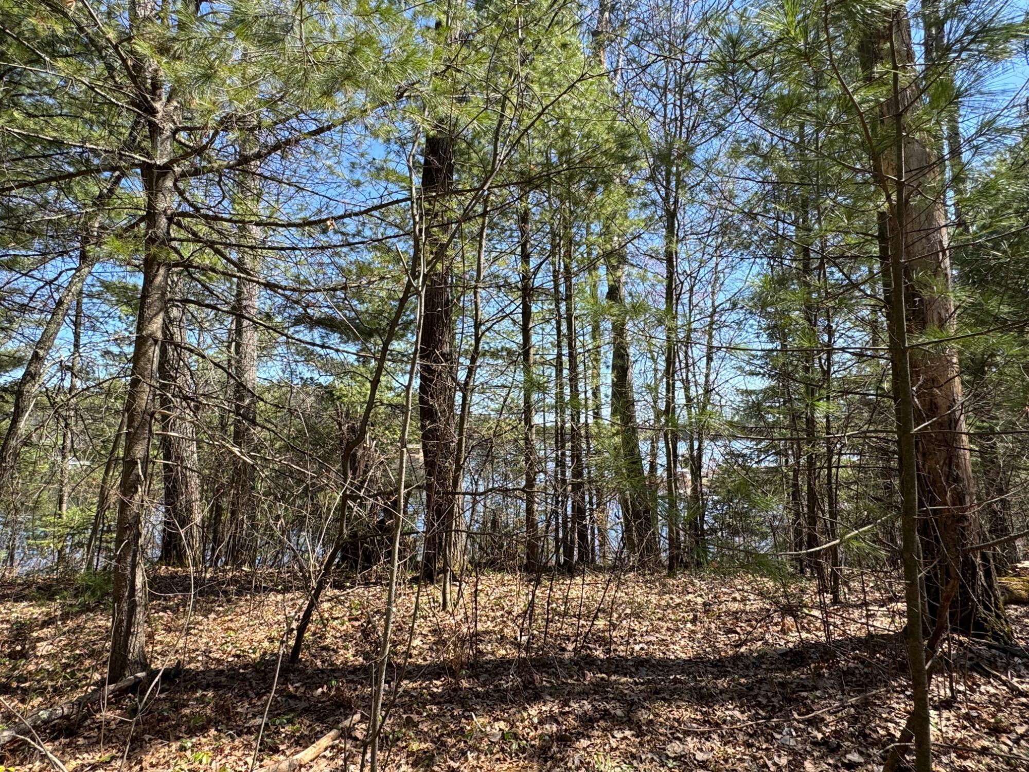 Little Crawling Stone Property Lot 2 Silver Beach Dr Photo 7