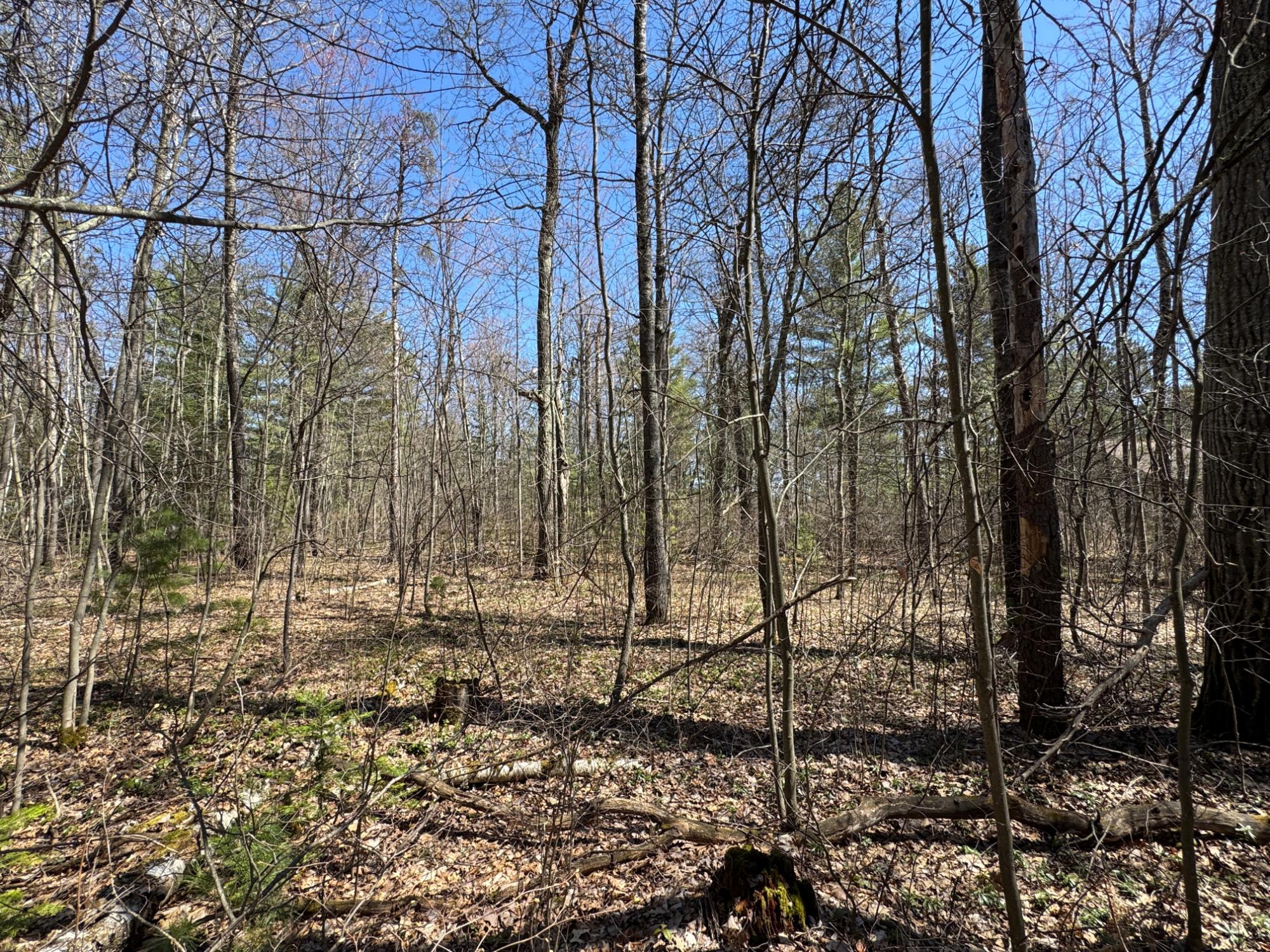 Little Crawling Stone Property Lot 2 Silver Beach Dr Photo 8