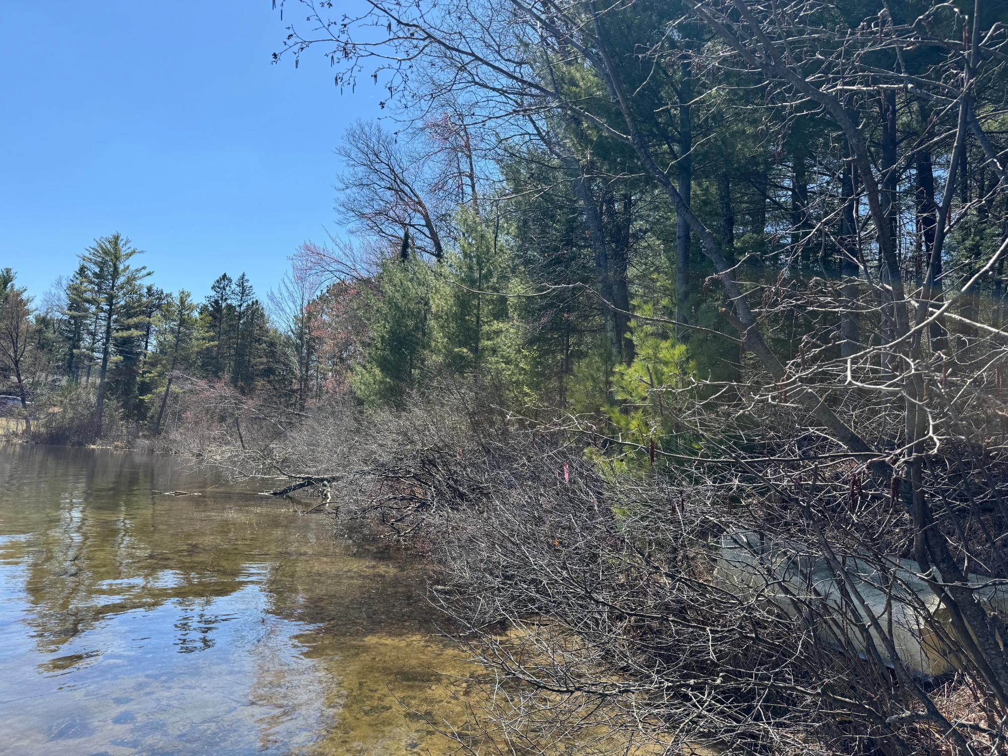 Little Crawling Stone Property Lot 2 Silver Beach Dr Photo 9