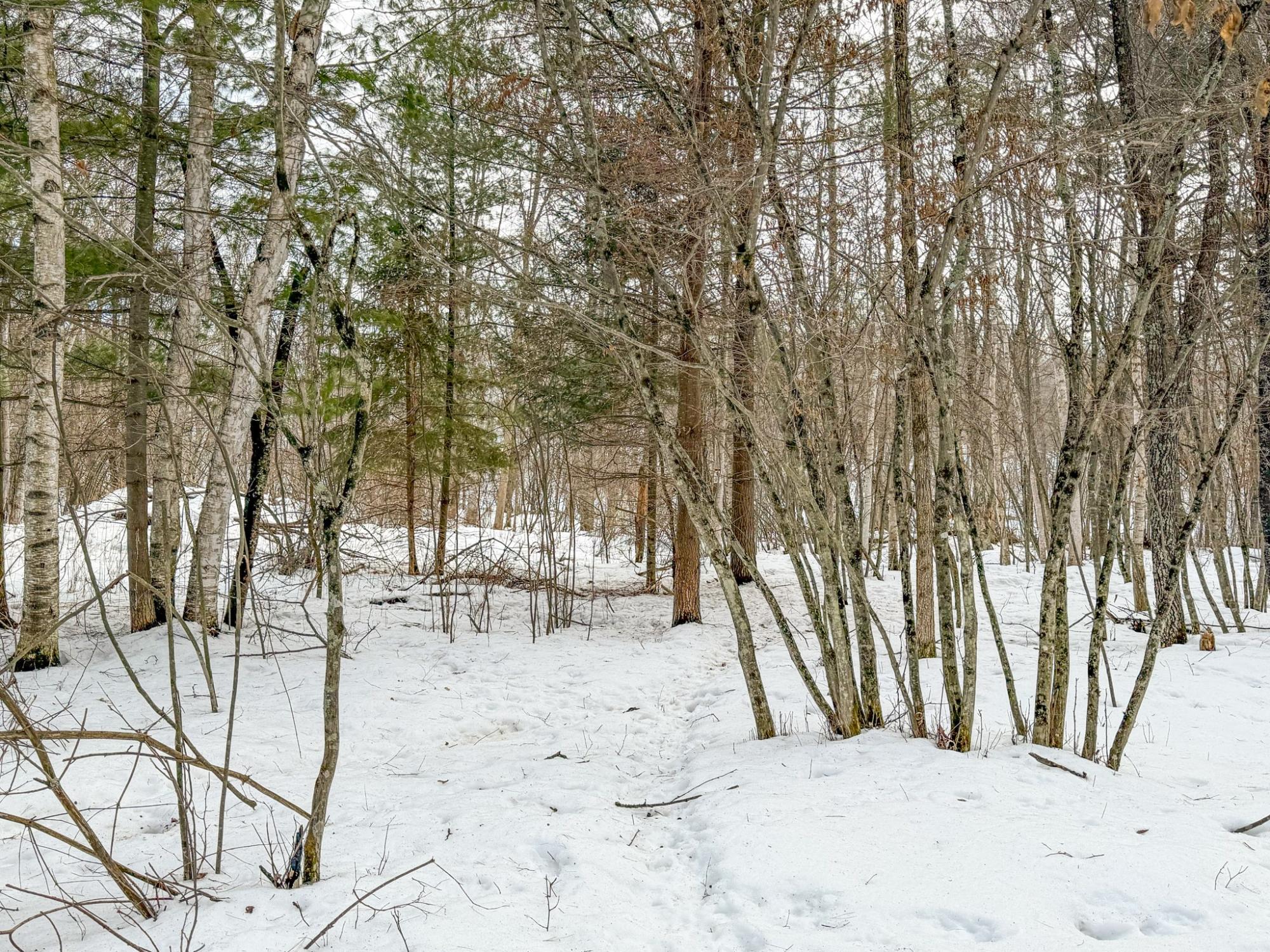 River Property Property N9076 Old Bridge Rd Photo 12