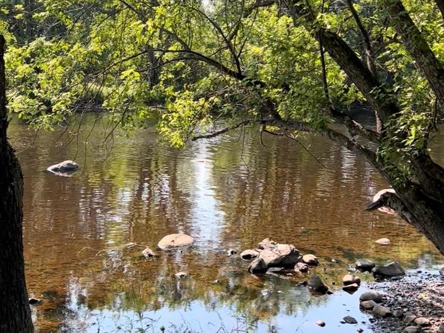 River Property Property N9076 Old Bridge Rd Photo 78