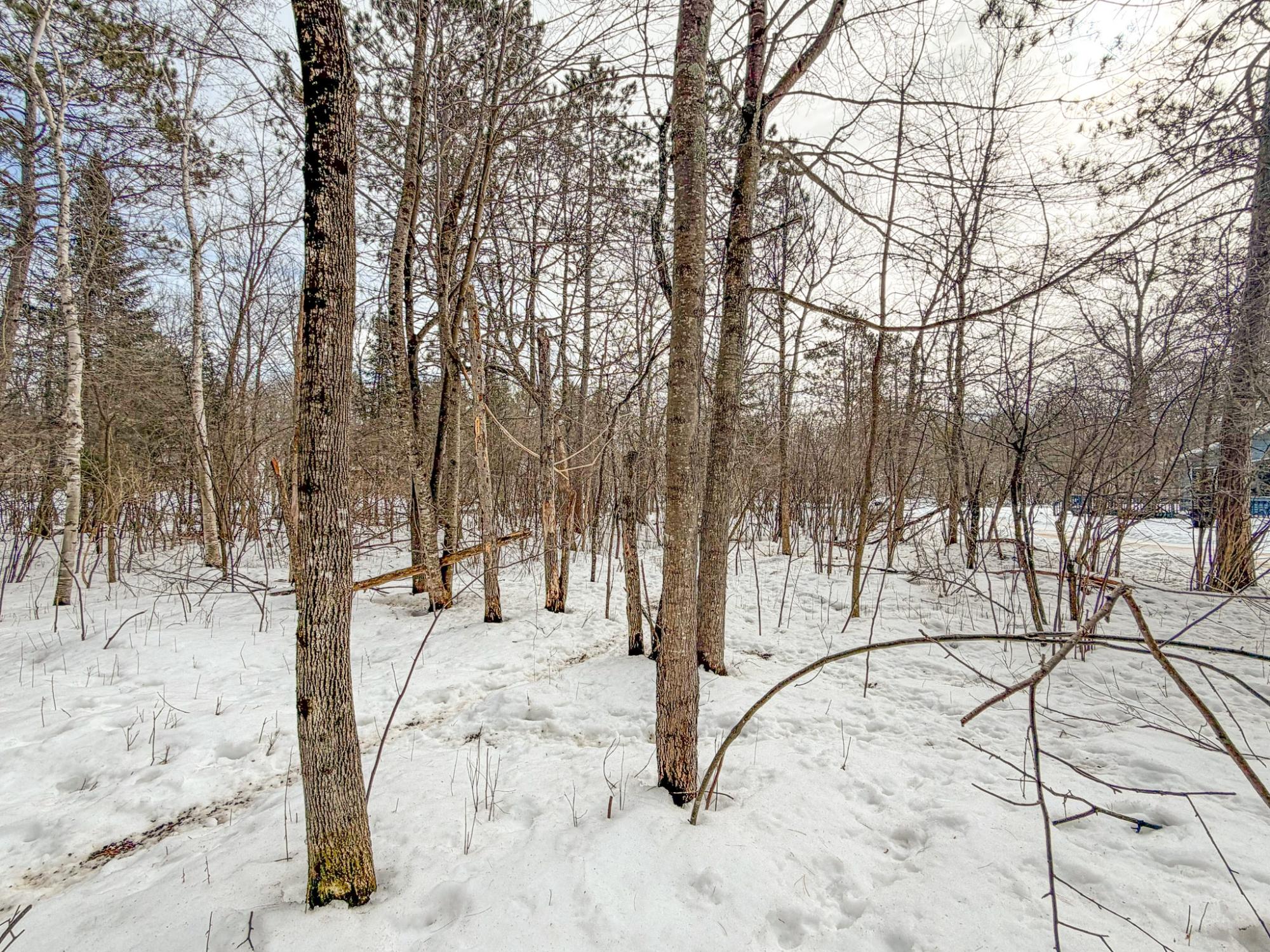 River Property Property N9076 Old Bridge Rd Photo 84