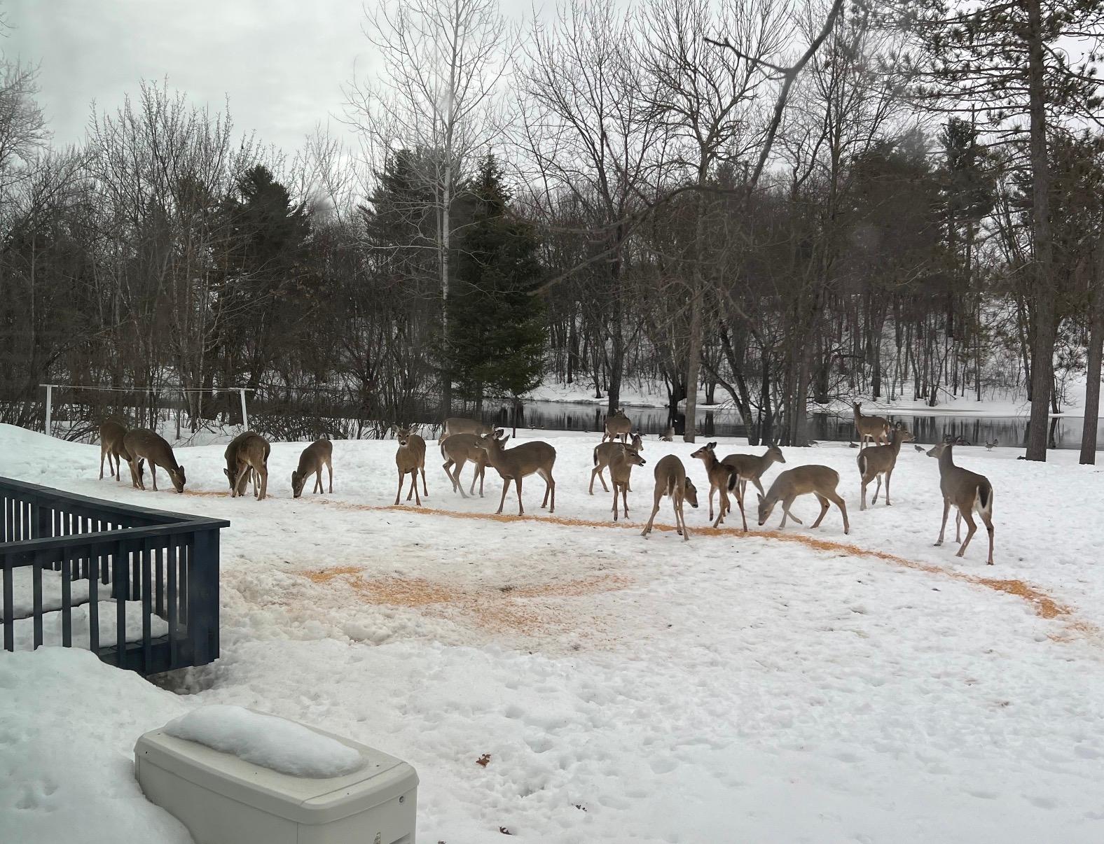 River Property Property N9076 Old Bridge Rd Photo 85