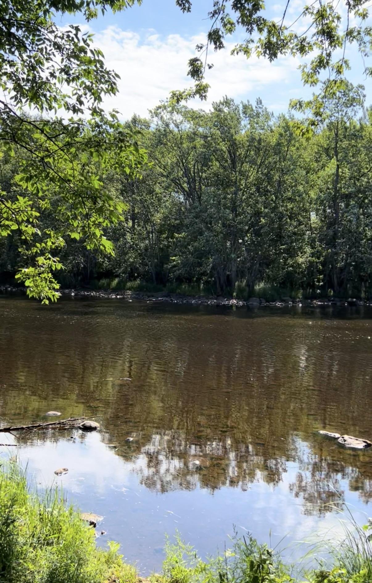 River Property Property N9076 Old Bridge Rd Photo 9