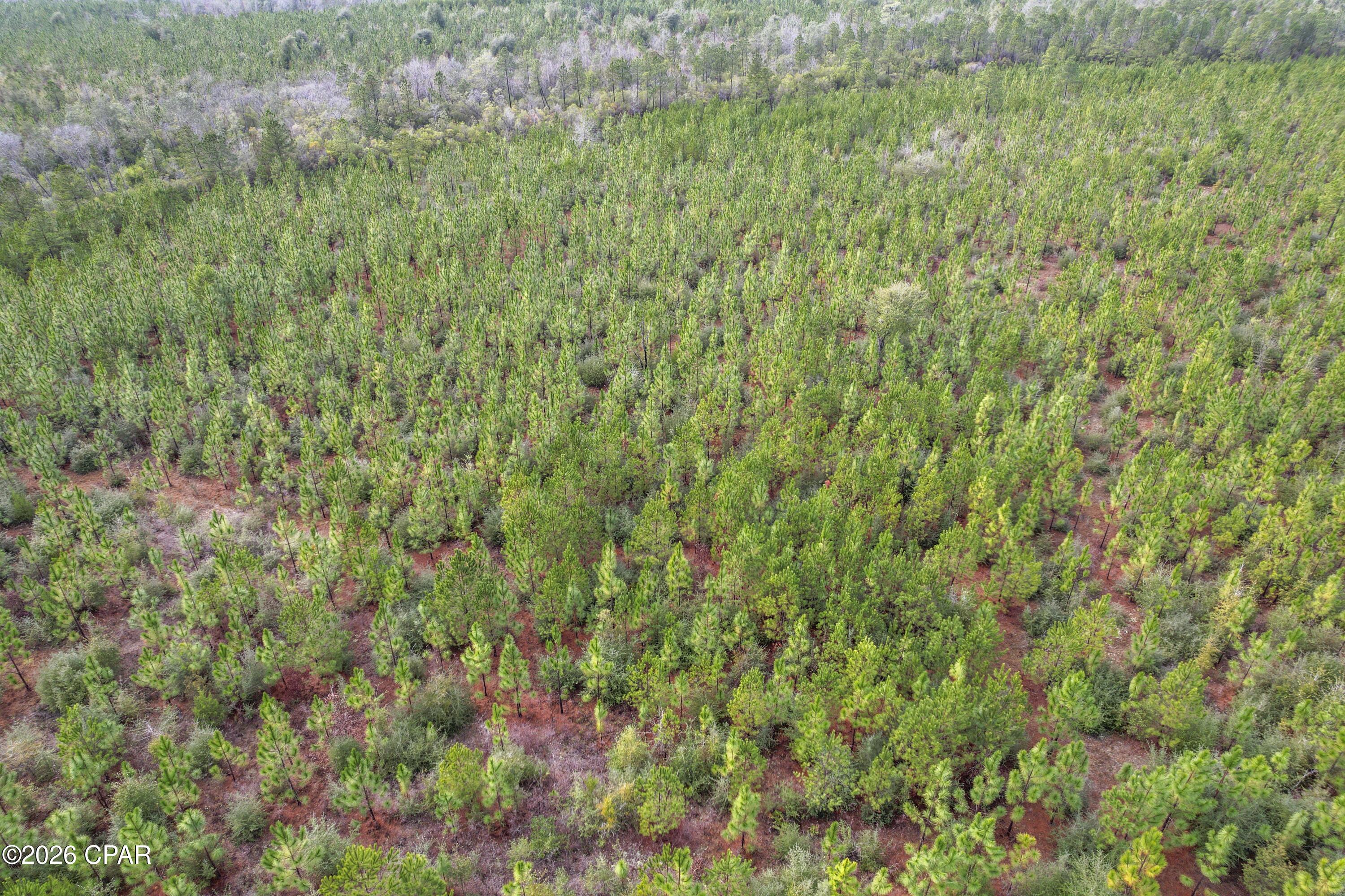 Image 12 For 495 City Square Road