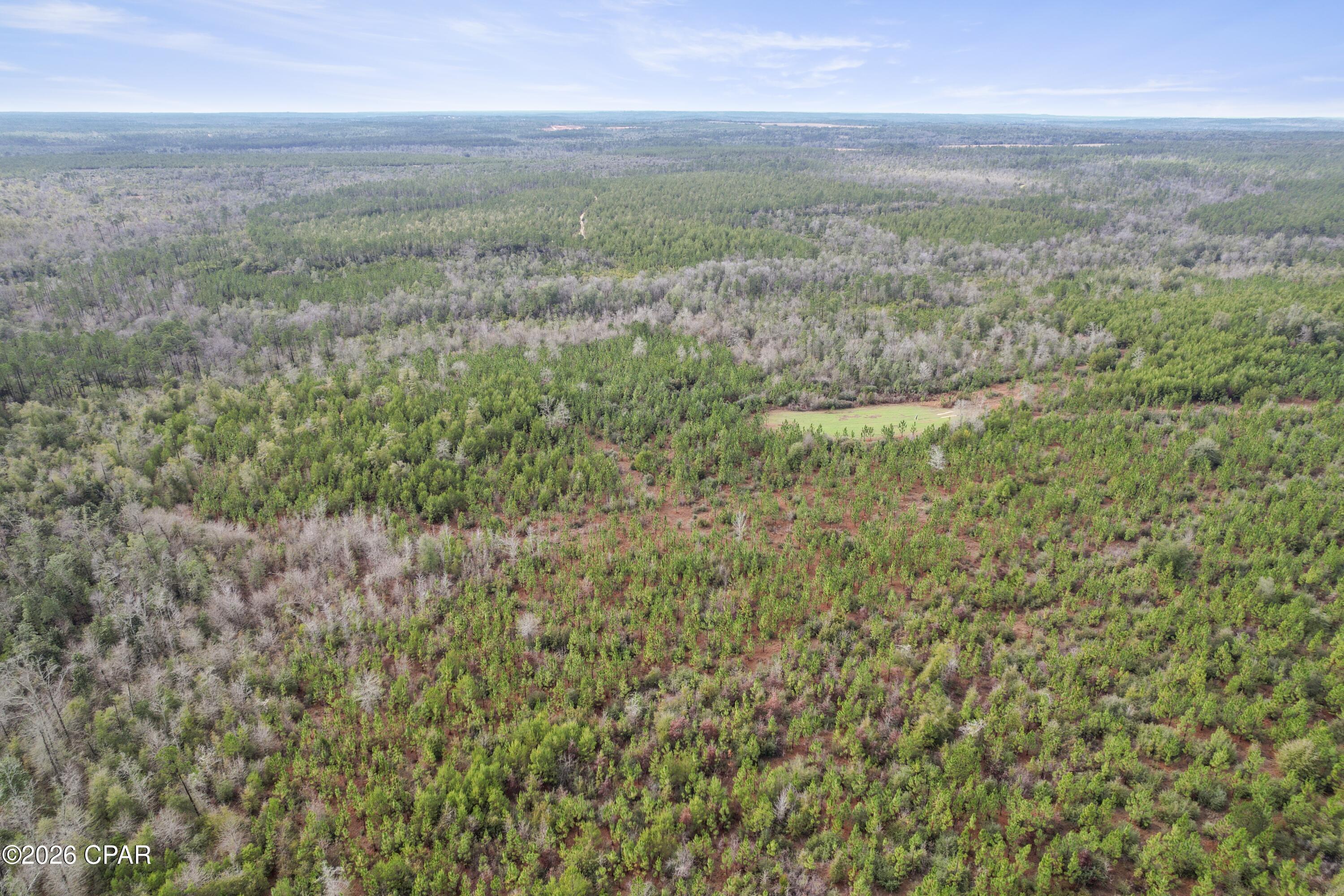 Image 17 For 495 City Square Road