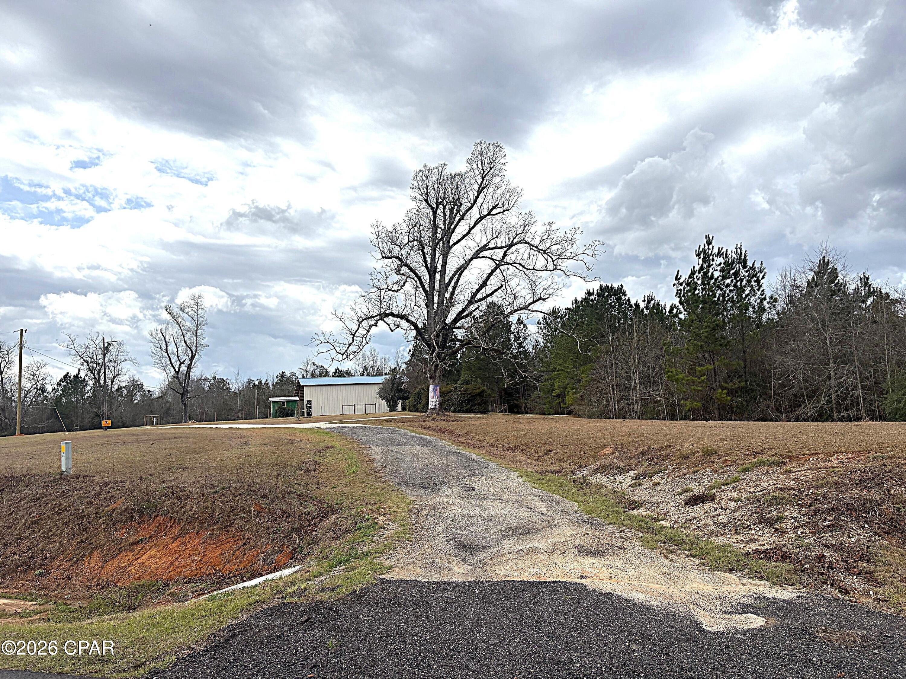 Image 5 For 2103 Holley Timber Road