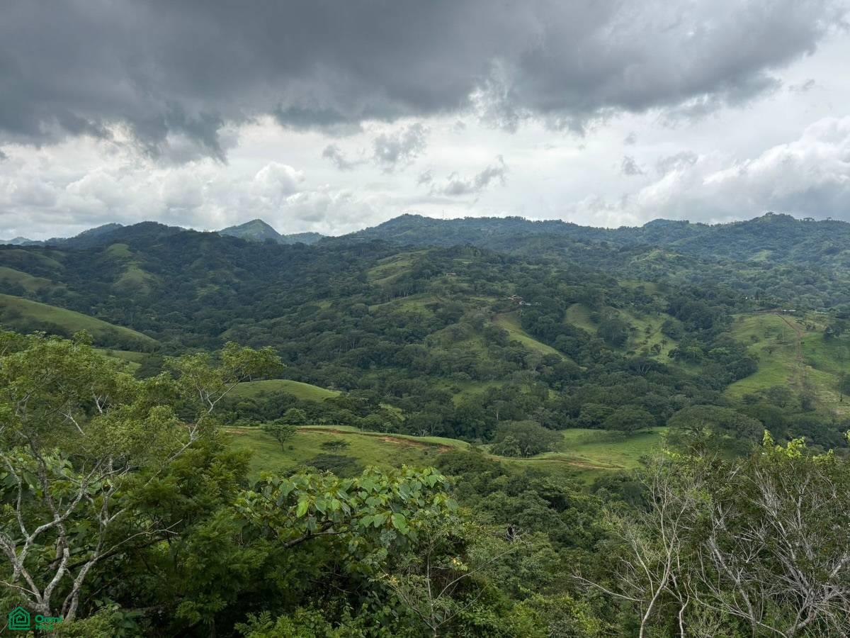 0 bed Land For Sale in Mora, San Jose - 1