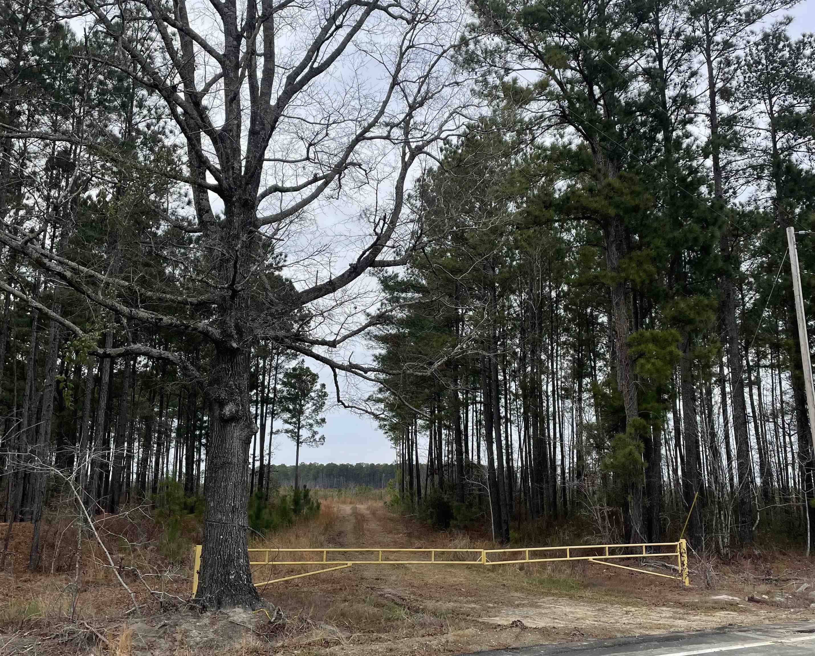 TBD Rocky Ford Rd. Salters, SC 29590