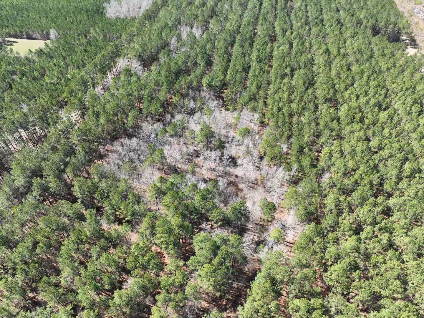 2605444 | Photo 13