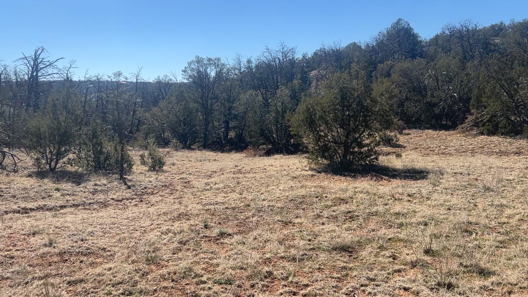 63 Jennifer Drive Sandia Park, NM 87047
