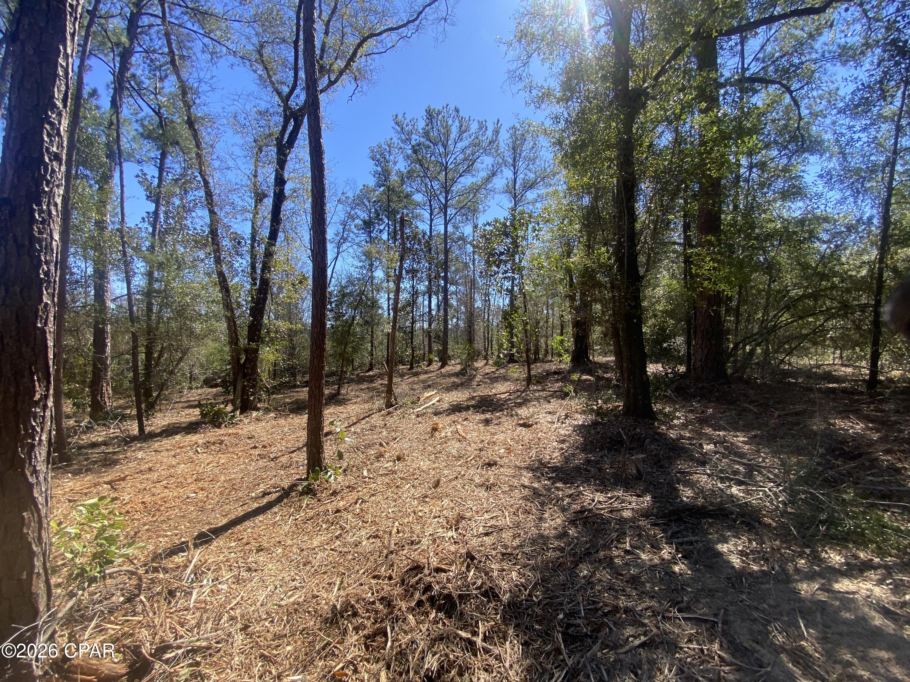 Image 4 For 00 Pasofino Lane